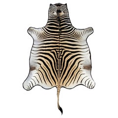 Klasse A Burchell Zebra-Teppich