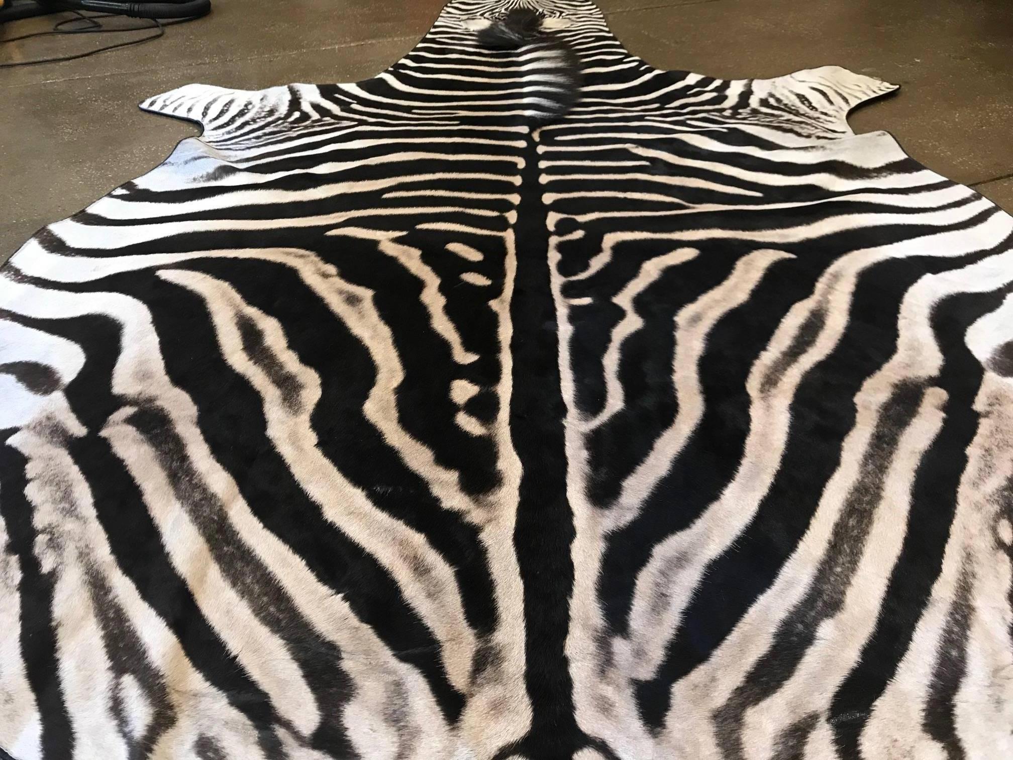 Beautiful grade “A” zebra rug lined with leather trim all around.
Measures: 8'2'' x 5' long excluding the tail 
Large selection of hide in different sizes and qualities

 