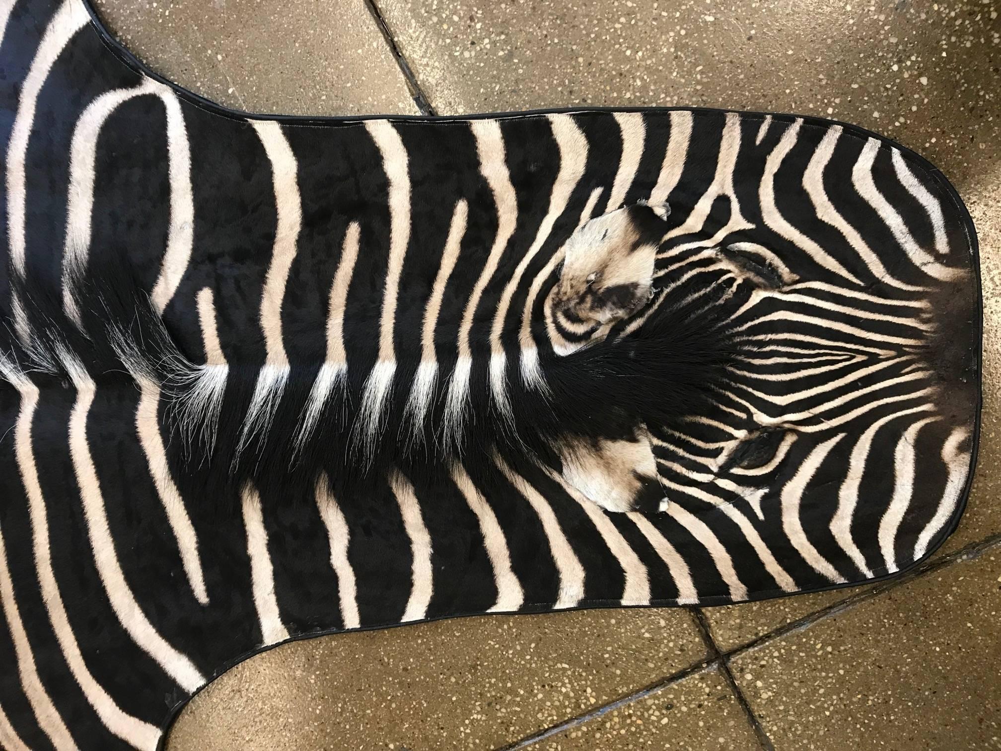 Beautiful grade A zebra skin rug lined with leather trimmed edge
Measures: 7'8'' x 5' long excluding the tail 
Wide variety of hides in different sizes and qualities

 
