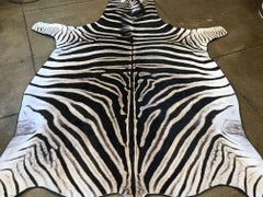 Grade A Equus Burchell Zebra Skin Rug