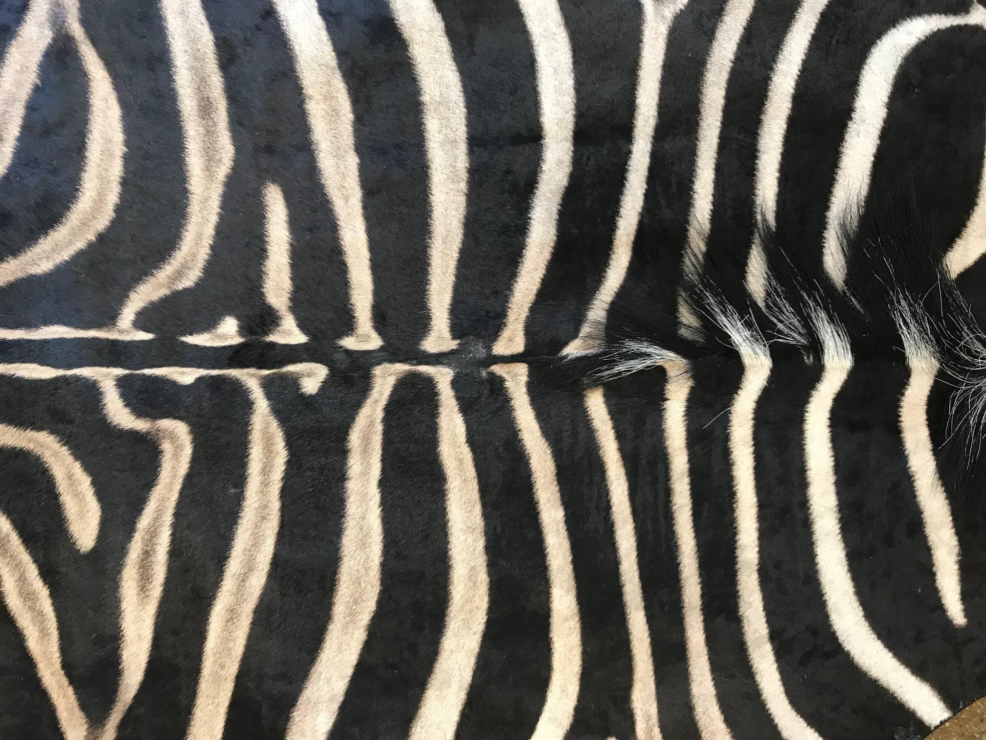 South African Grade A Equus Burchell Zebra Skin Rug For Sale