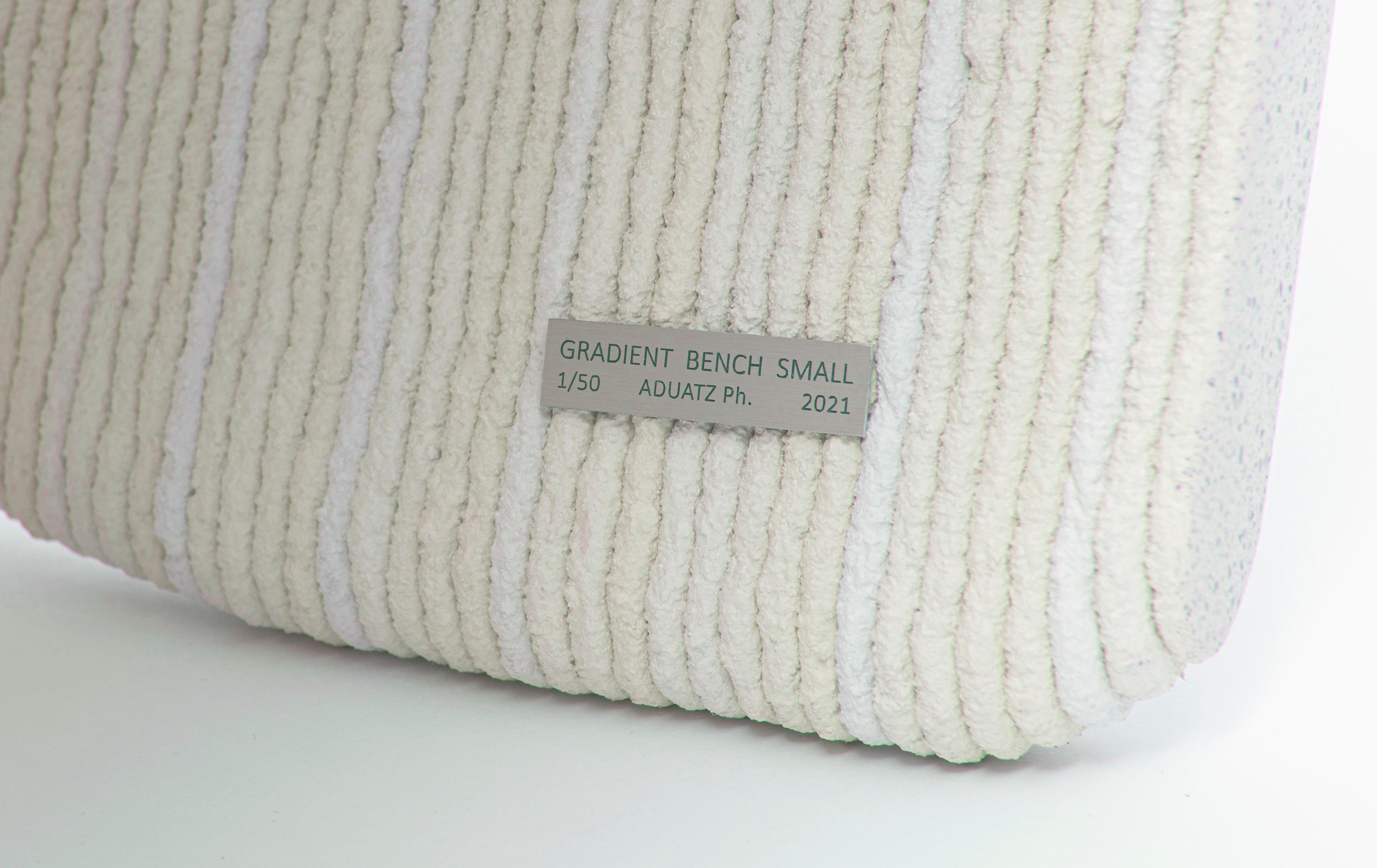 Gradient Bench Small For Sale 2