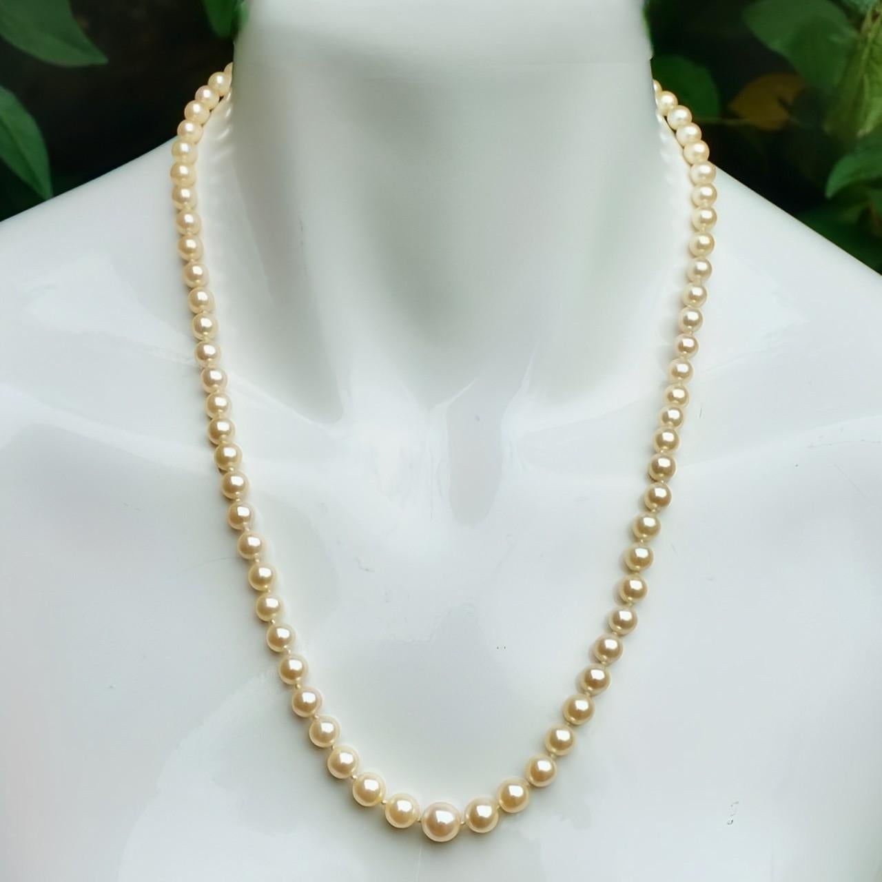 Graduated Cream Cultured Pearl Necklace with 9K Gold and Cultured Pearl Clasp For Sale 2