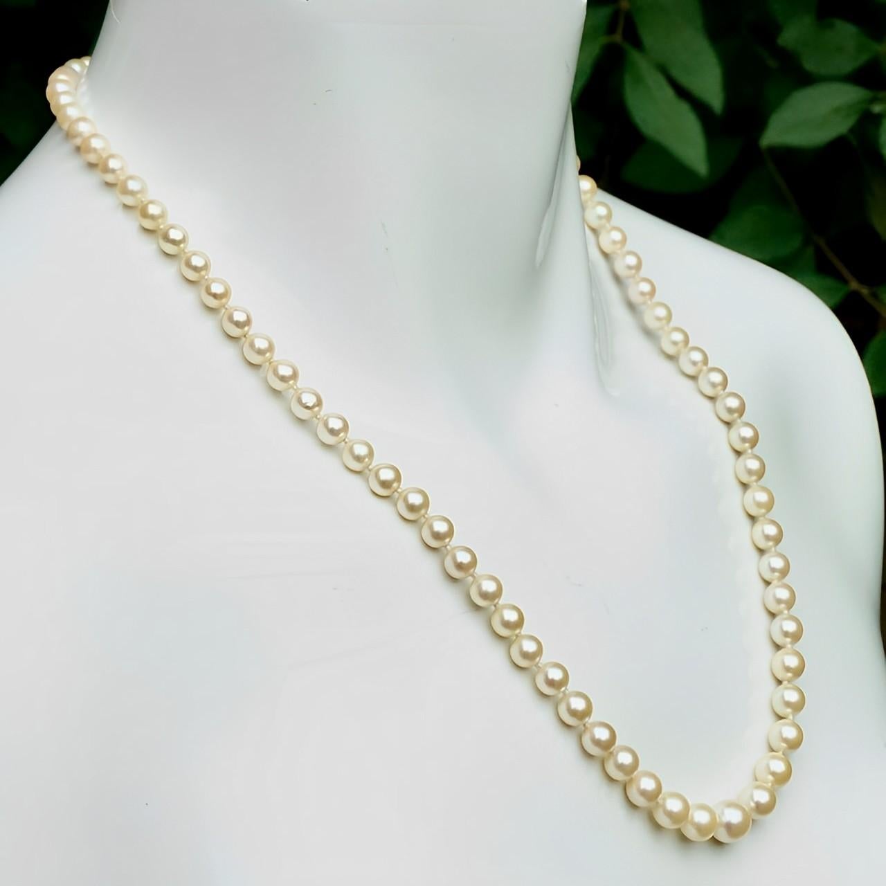 Graduated Cream Cultured Pearl Necklace with 9K Gold and Cultured Pearl Clasp For Sale 3