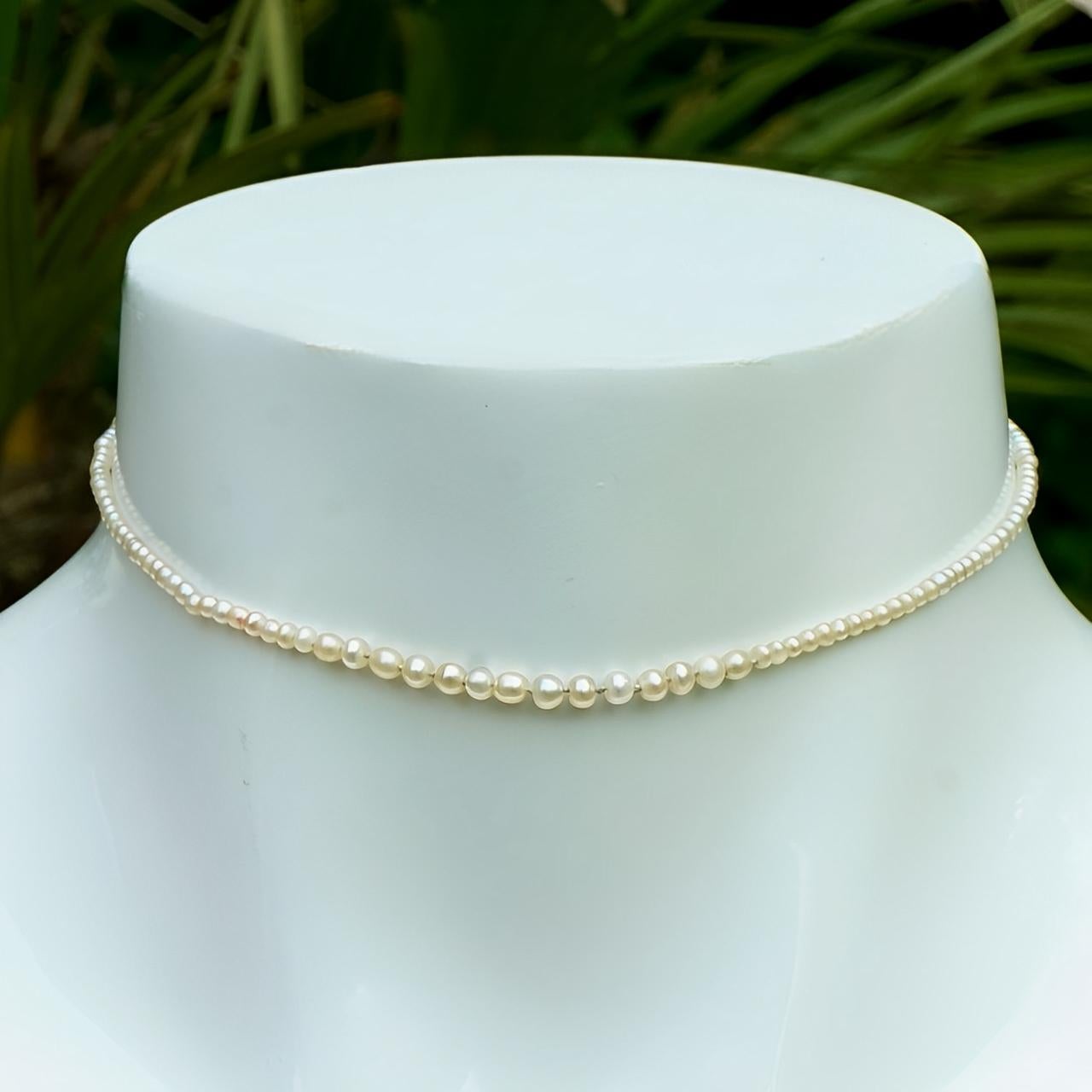 Wunderschöne, abgestufte Naturperlenkette, mit versilbertem Verschluss. Die Kette wird zwischen den einzelnen Perlen geknotet.

Die Halskette ist eine kleine Größe, die Länge 31 cm / 12,2 Zoll.

Die schönen Naturperlen haben einen sanften