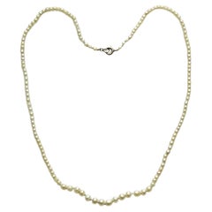Graduated Natural Pearl Knotted Necklace with Silver Plated Clasp