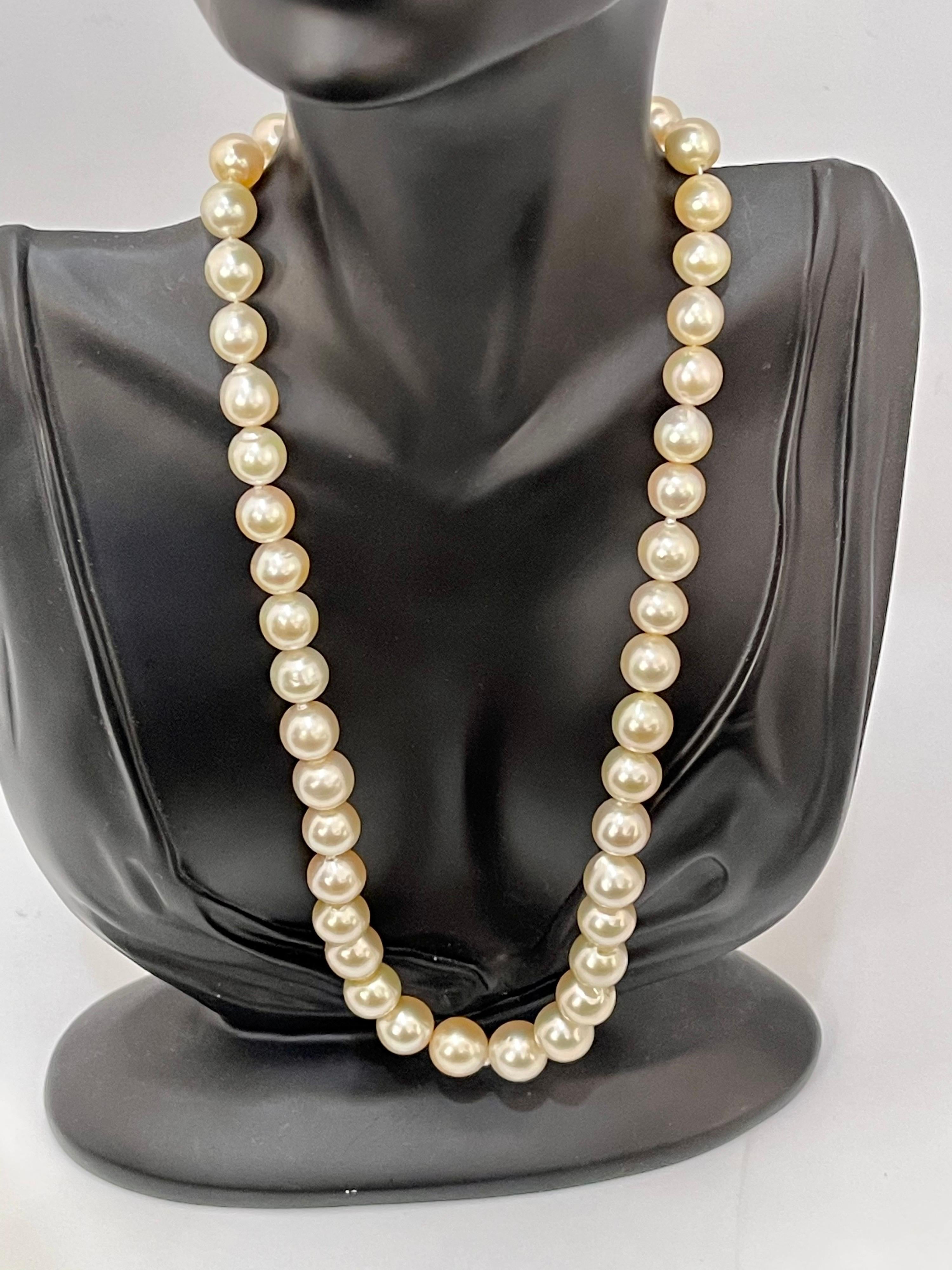 Graduating Cream Color South Sea Pearls Necklace 14 Karat Yellow Gold Clasp For Sale 3