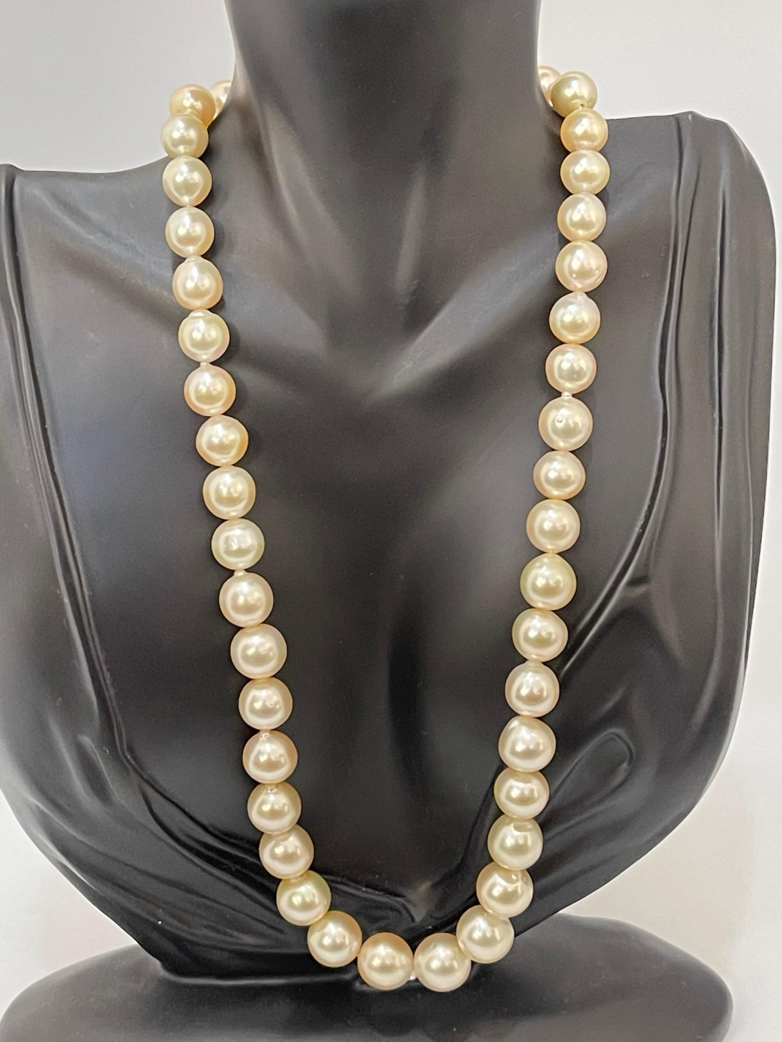 Graduating Cream Color South Sea Pearls Necklace 14 Karat Yellow Gold Clasp For Sale 4