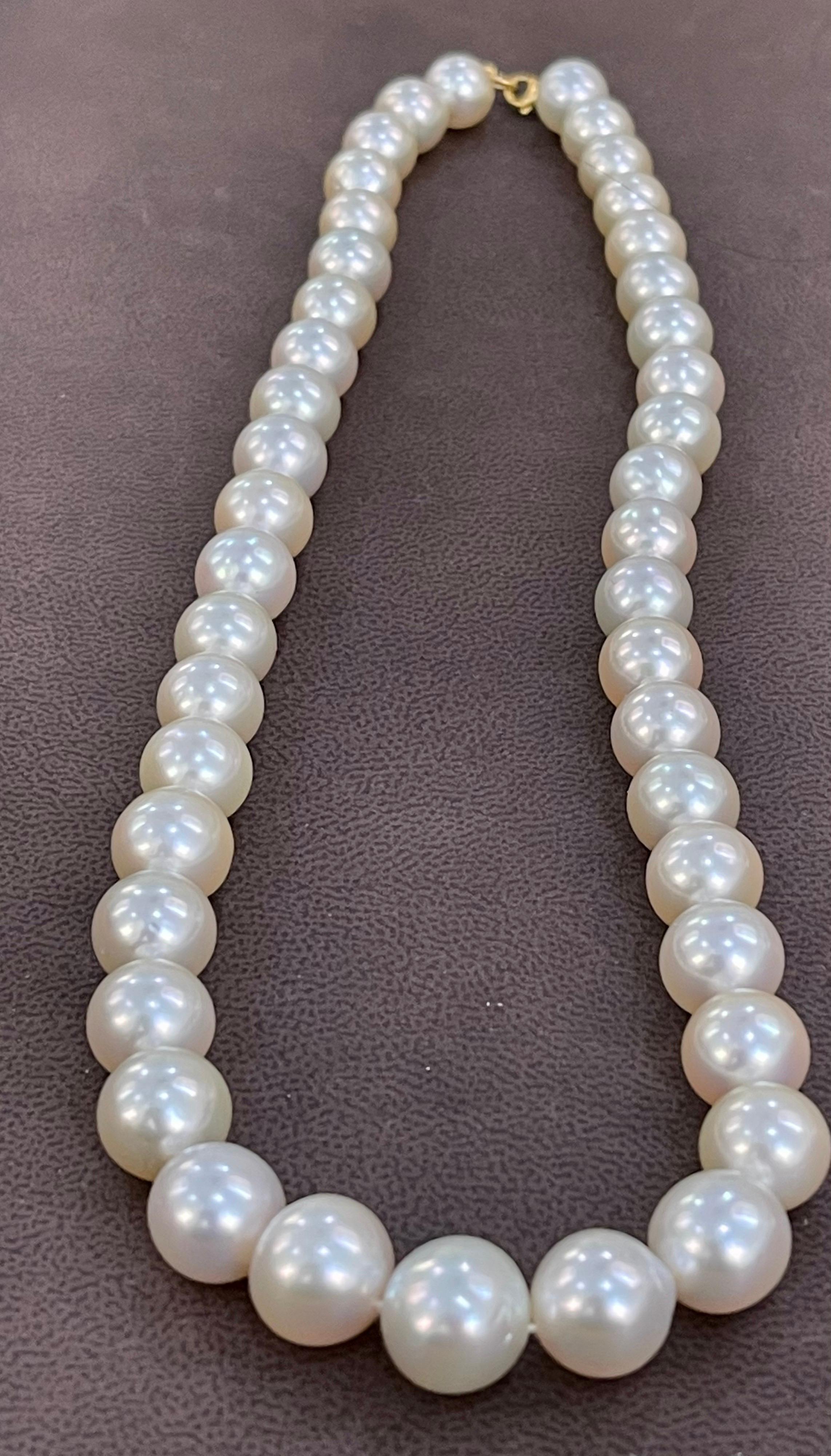 Round Cut Graduating Cream Color South Sea Pearls Necklace 14 Karat Yellow Gold Clasp For Sale