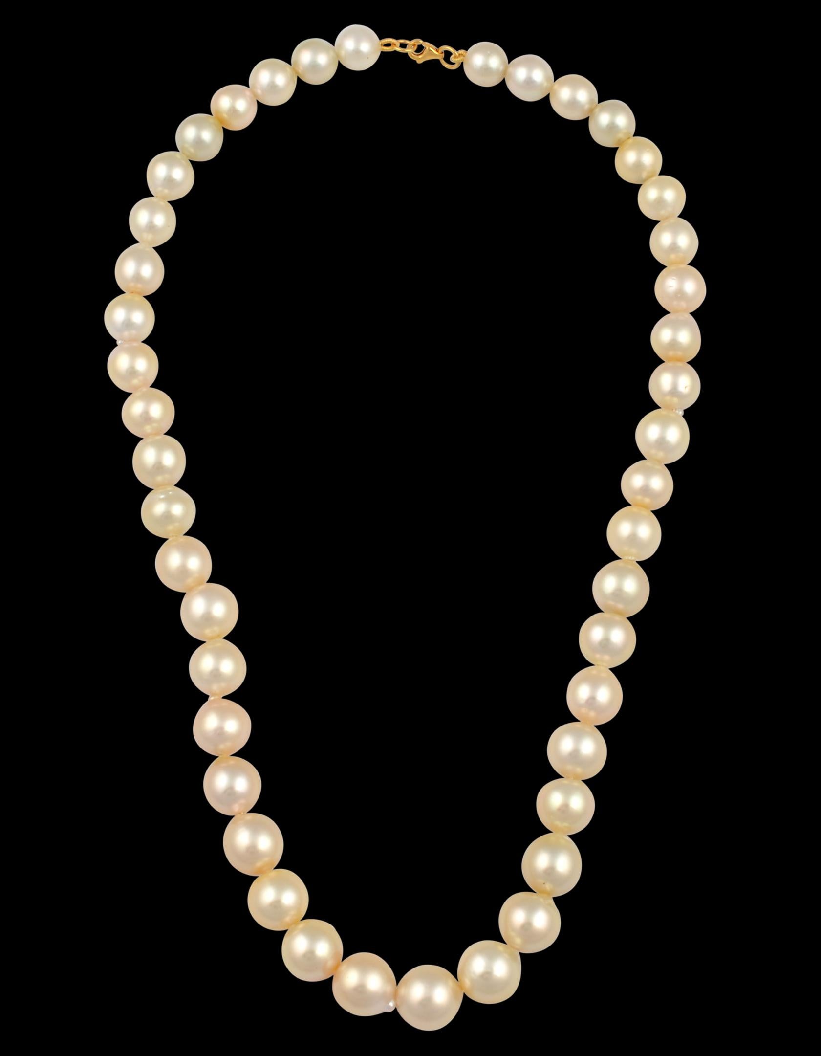 Graduating Cream Color South Sea Pearls Necklace 14 Karat Yellow Gold Clasp For Sale 1