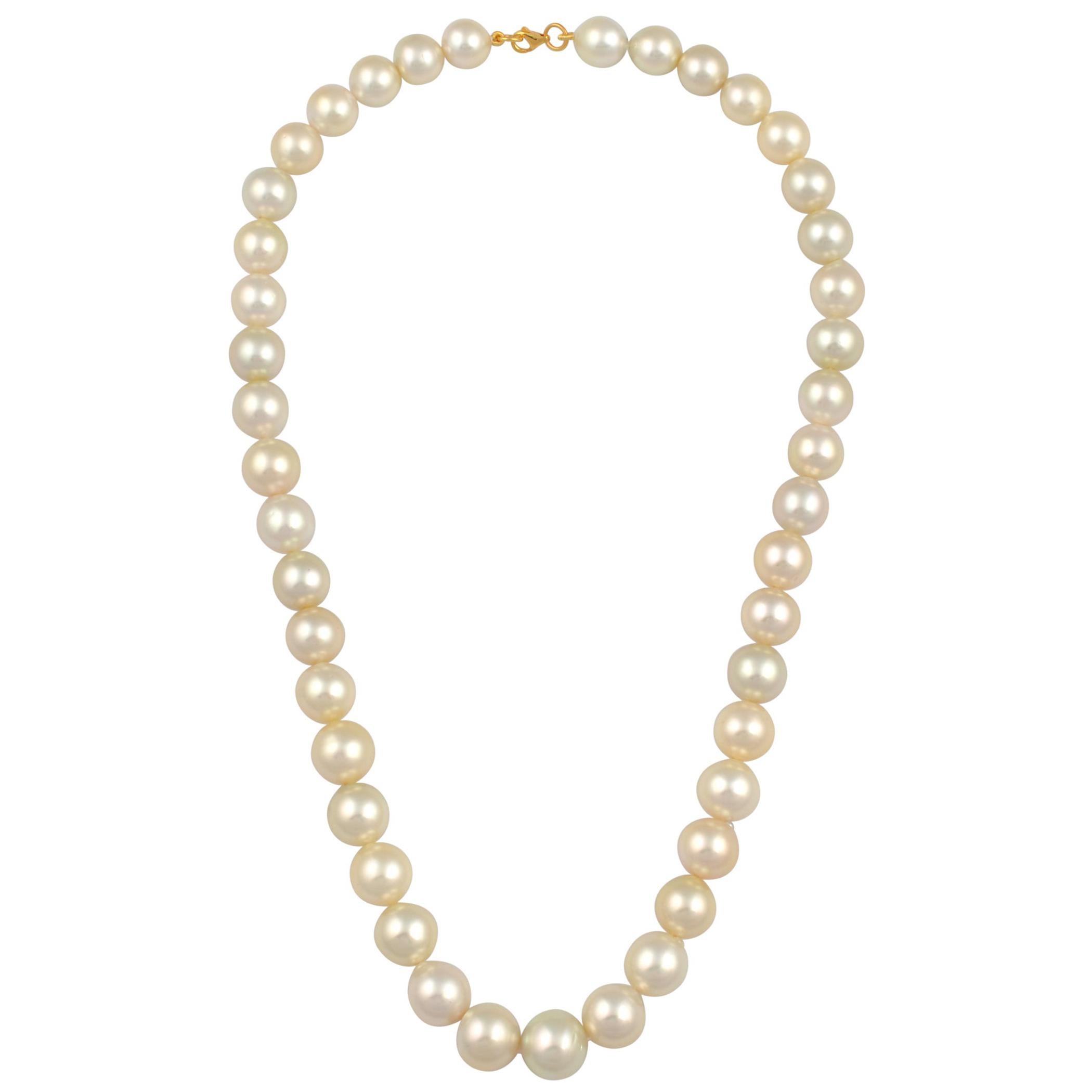 Graduating Cream Color South Sea Pearls Necklace 14 Karat Yellow Gold Clasp For Sale