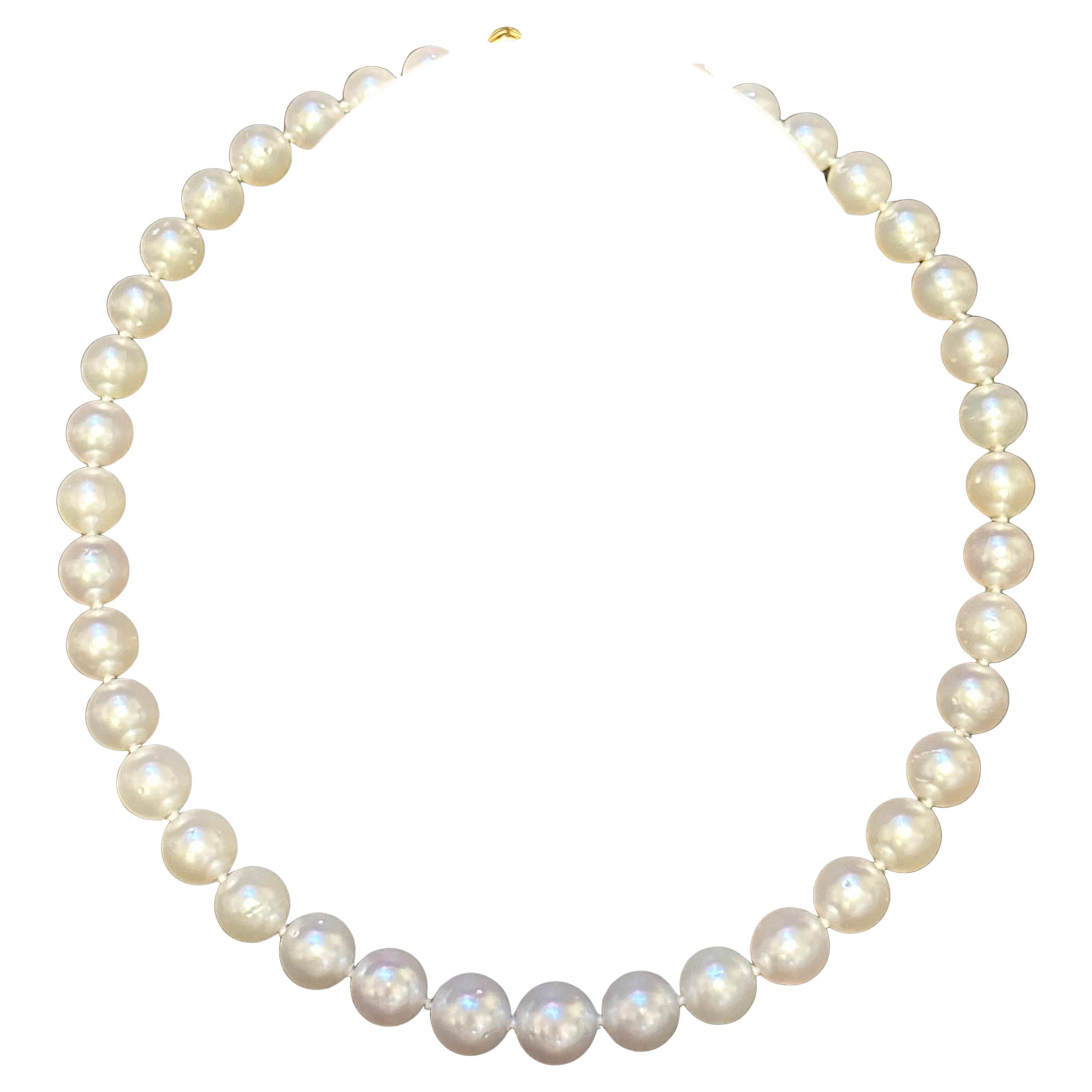 Round Cut Graduating South Sea Pearls 12-14mm Strand Necklace 18 Kt Yellow Gold Clasp