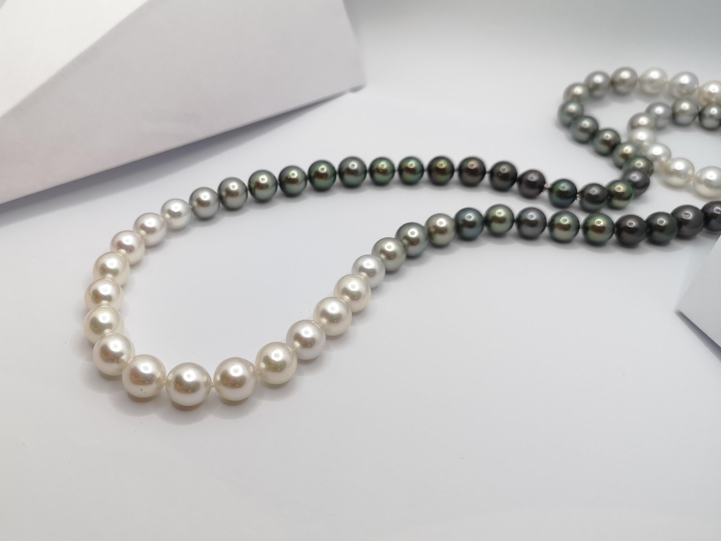 Gradutated Color South Sea Pearl Necklace with Hidden 18K White Gold Clasp For Sale 2