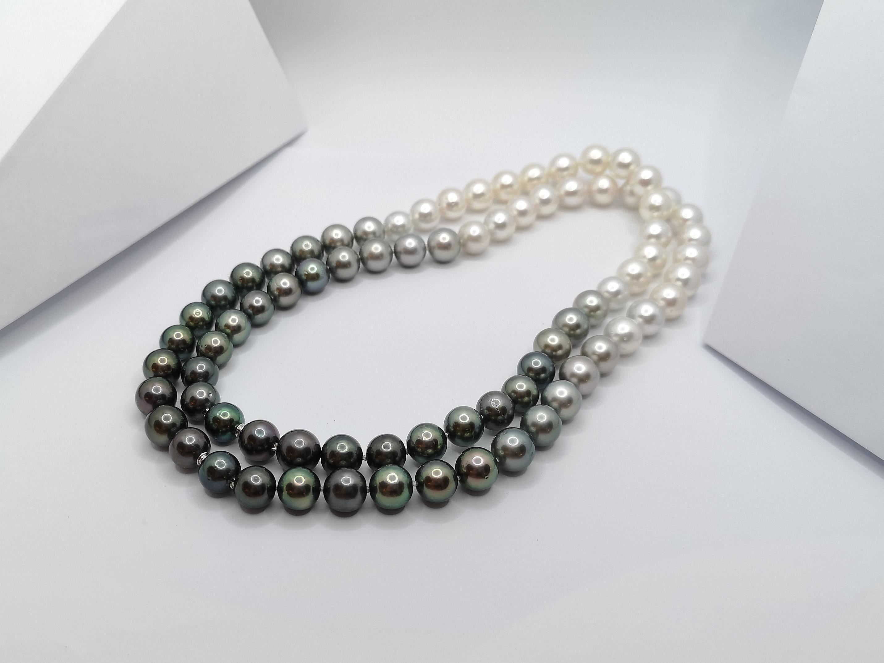 Gradutated Color South Sea Pearl Necklace with Hidden 18K White Gold Clasp For Sale 3