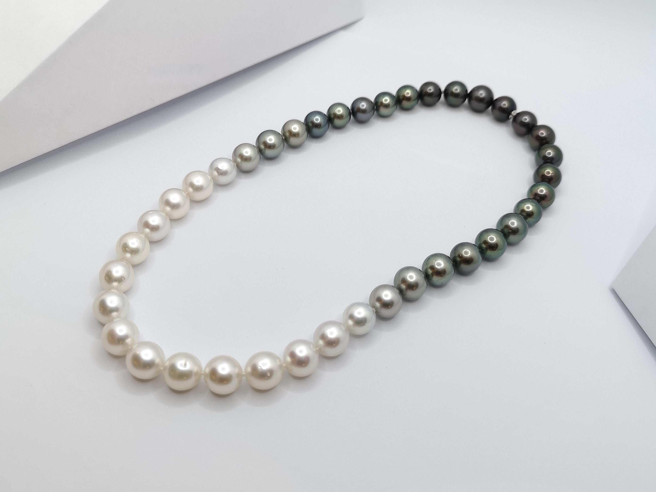 Gradutated Color South Sea Pearl Necklace with Hidden 18K White Gold Clasp For Sale 5