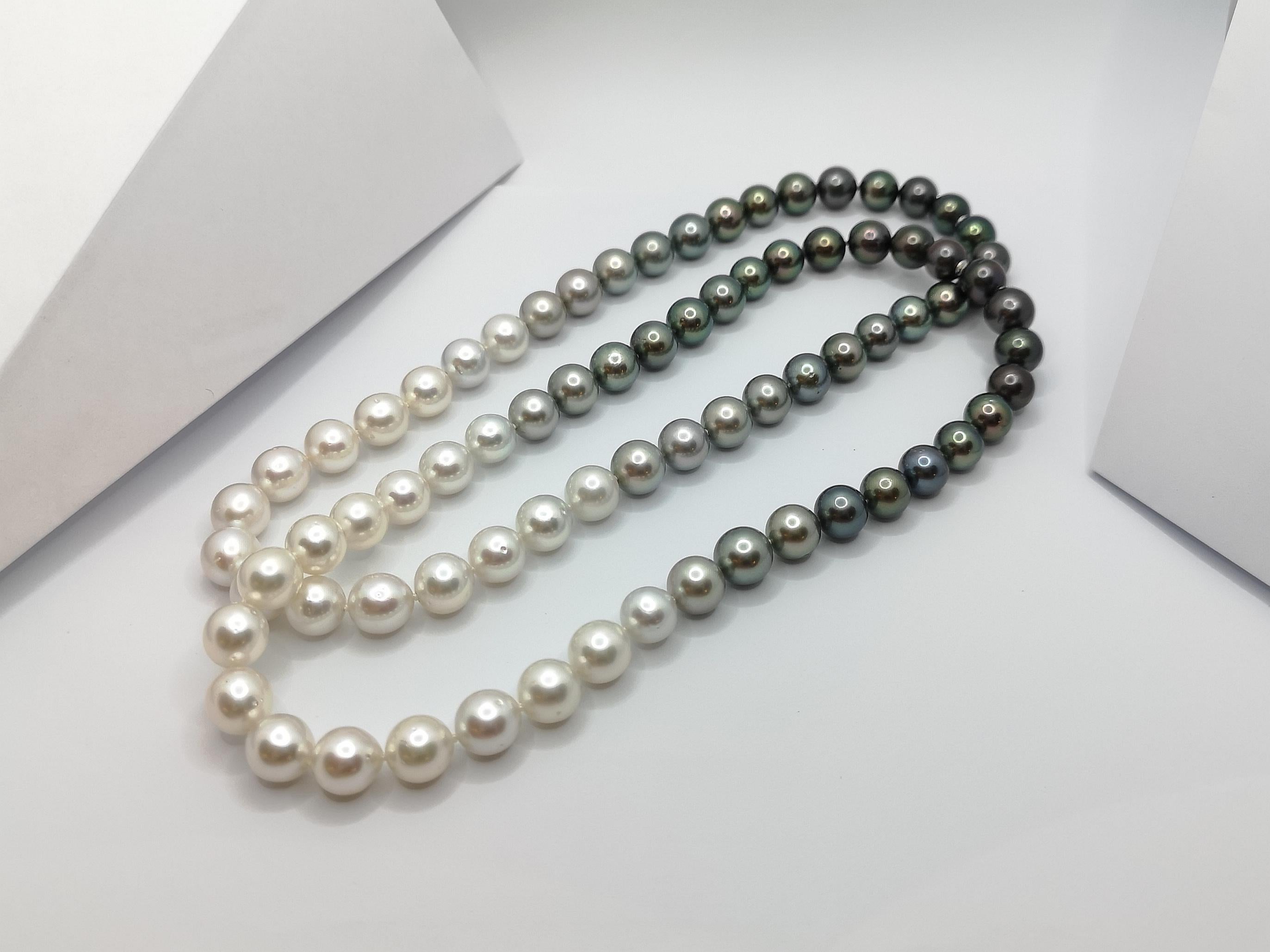 Gradutated Color South Sea Pearl Necklace with Hidden 18K White Gold Clasp For Sale 7
