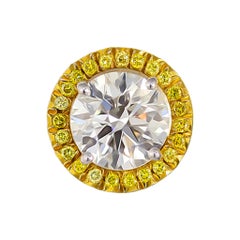 Graff 18K Yellow Gold GIA Diamond Clips