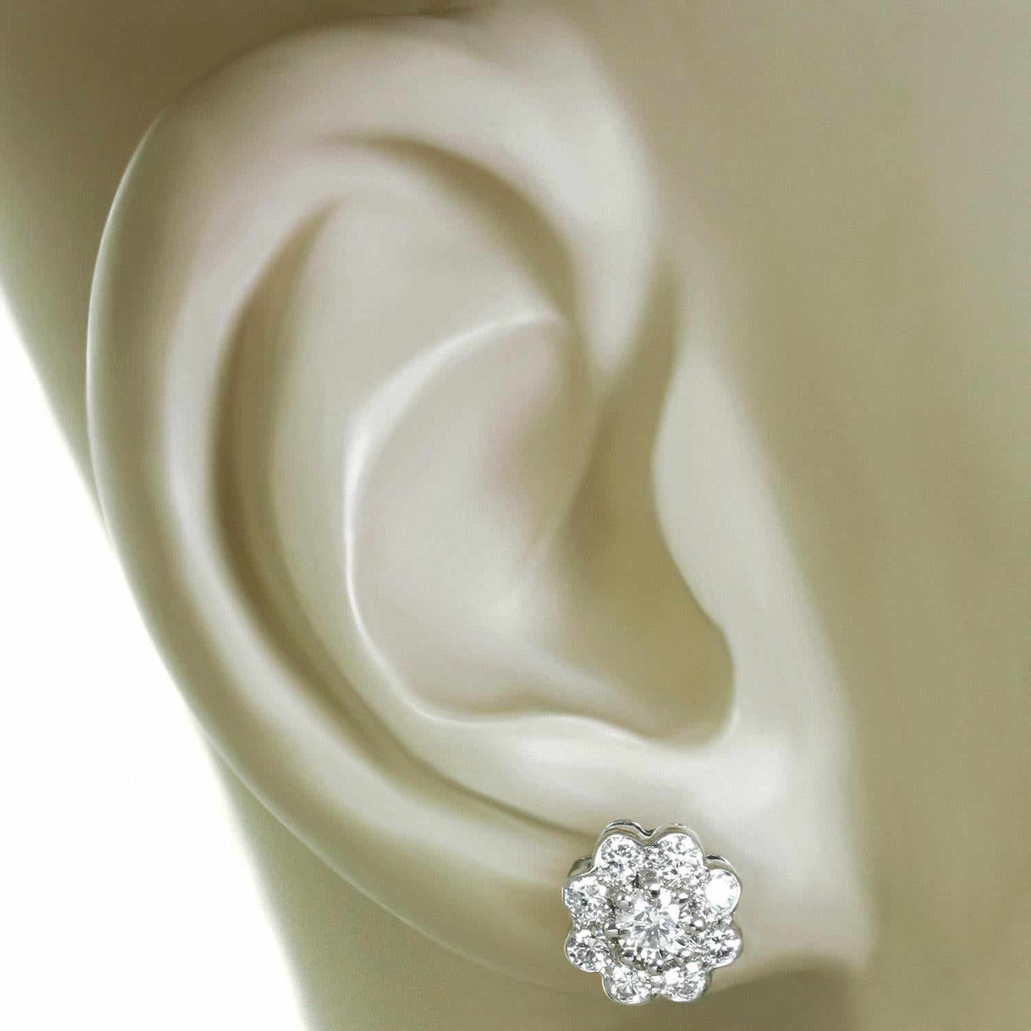Women's Graff Diamond Cluster Platinum Stud Earrings