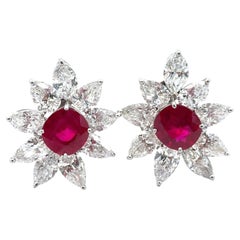 Graff Platinum & 18k Gold AGL 21.34ctw Burma Ruby & Diamond Spray Earrings