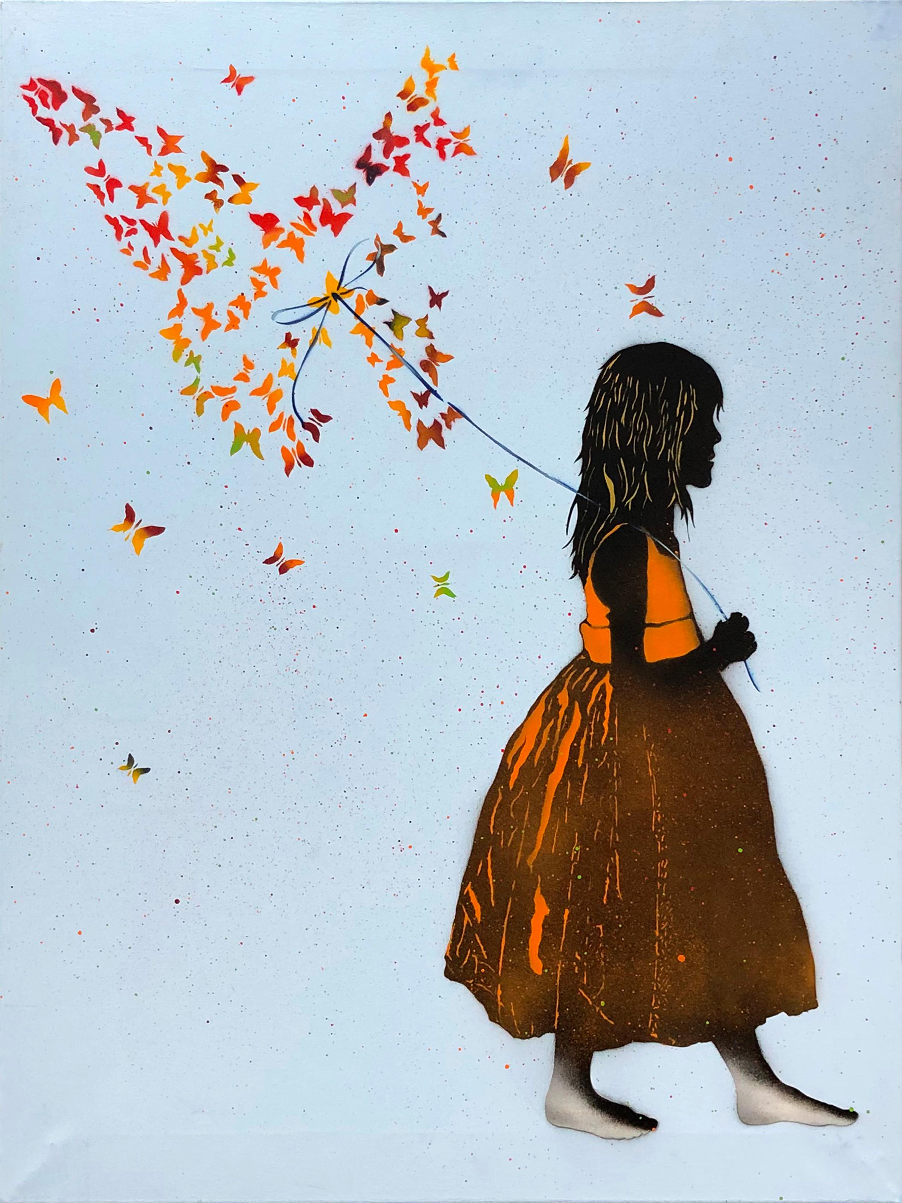 THE BUTTERFLY COLLECTOR