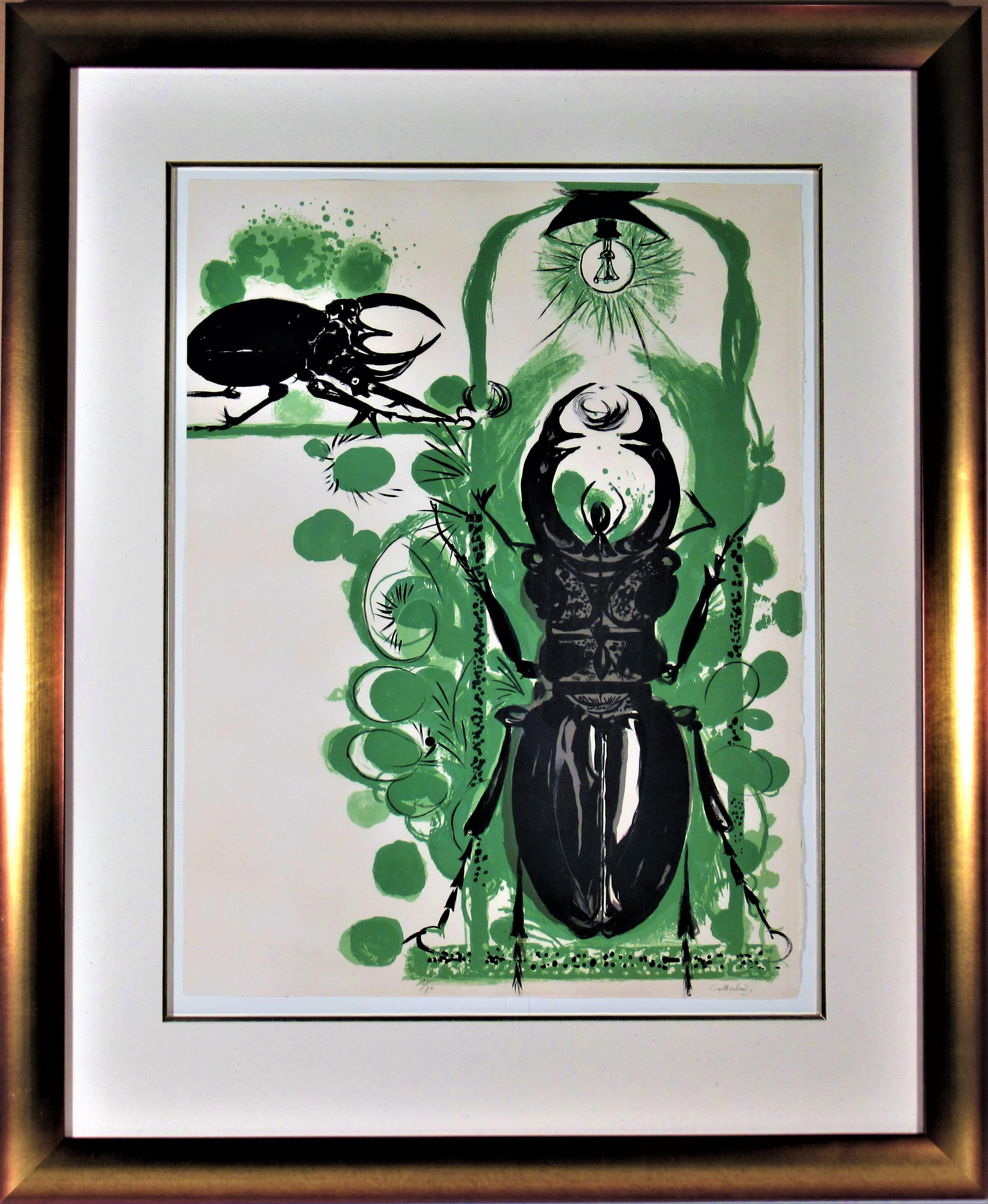 Graham Sutherland Animal Print - Beetles II (With Electric Lamp)