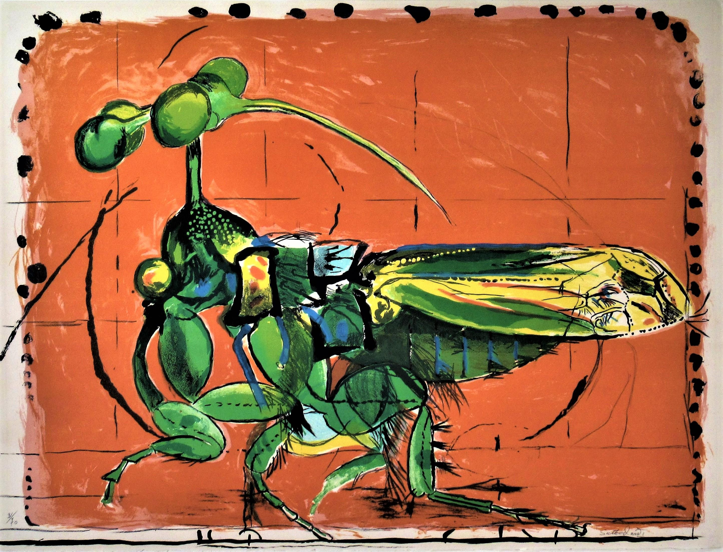 « Insect, Simulating Seeds » Importante lithographie couleur. - Print de Graham Sutherland