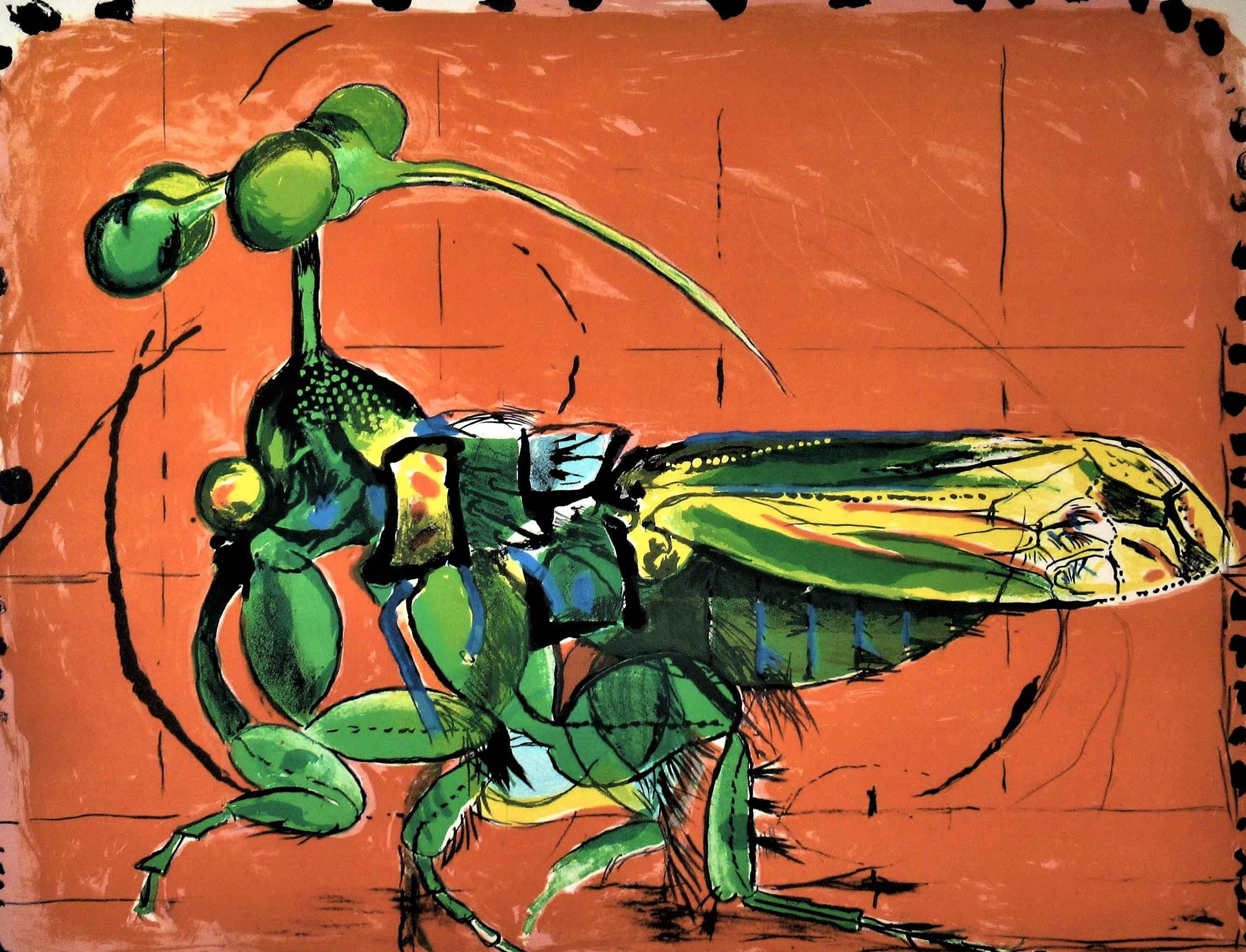 « Insect, Simulating Seeds » Importante lithographie couleur. - Surréalisme Print par Graham Sutherland