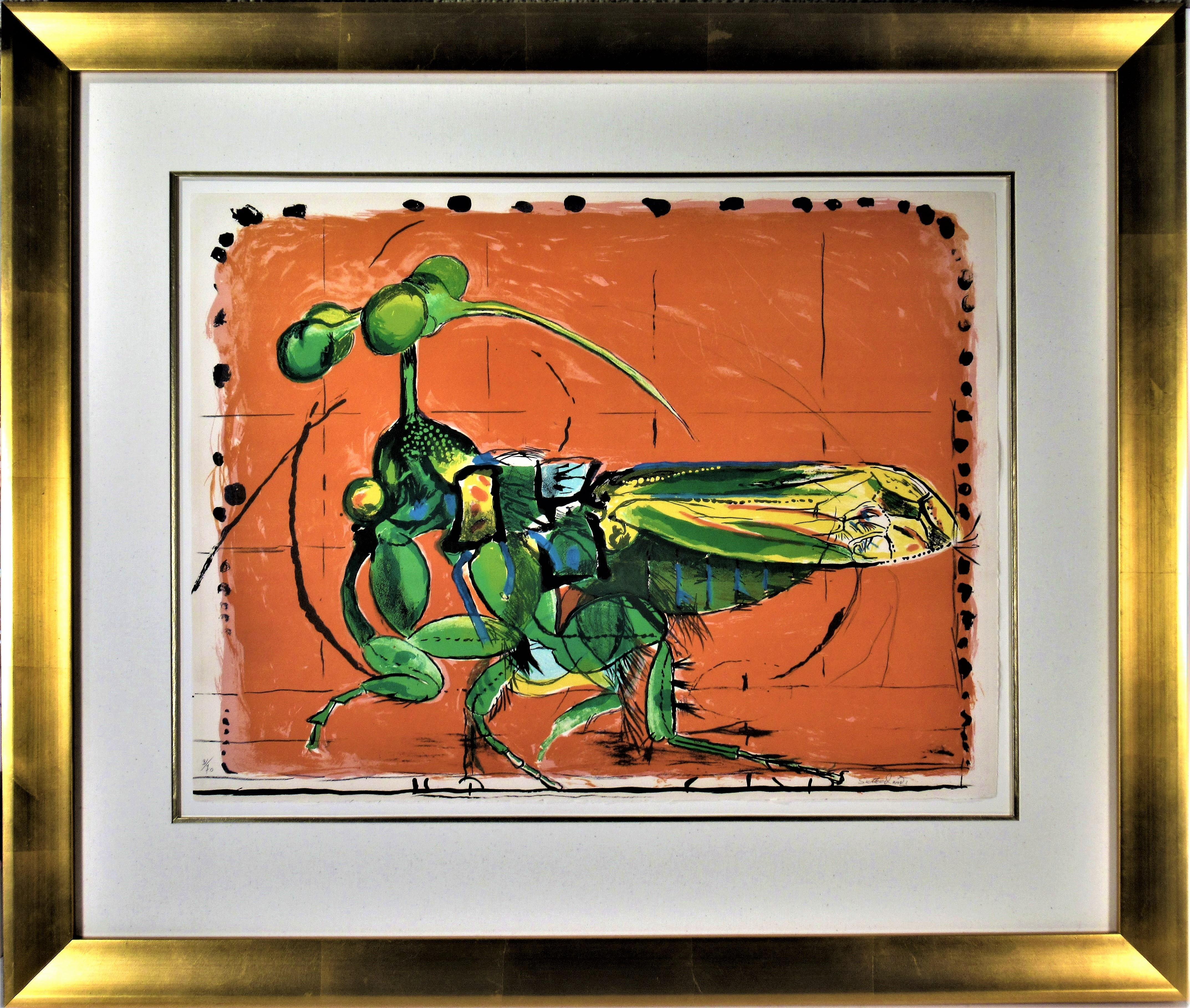 Animal Print Graham Sutherland - « Insect, Simulating Seeds » Importante lithographie couleur.