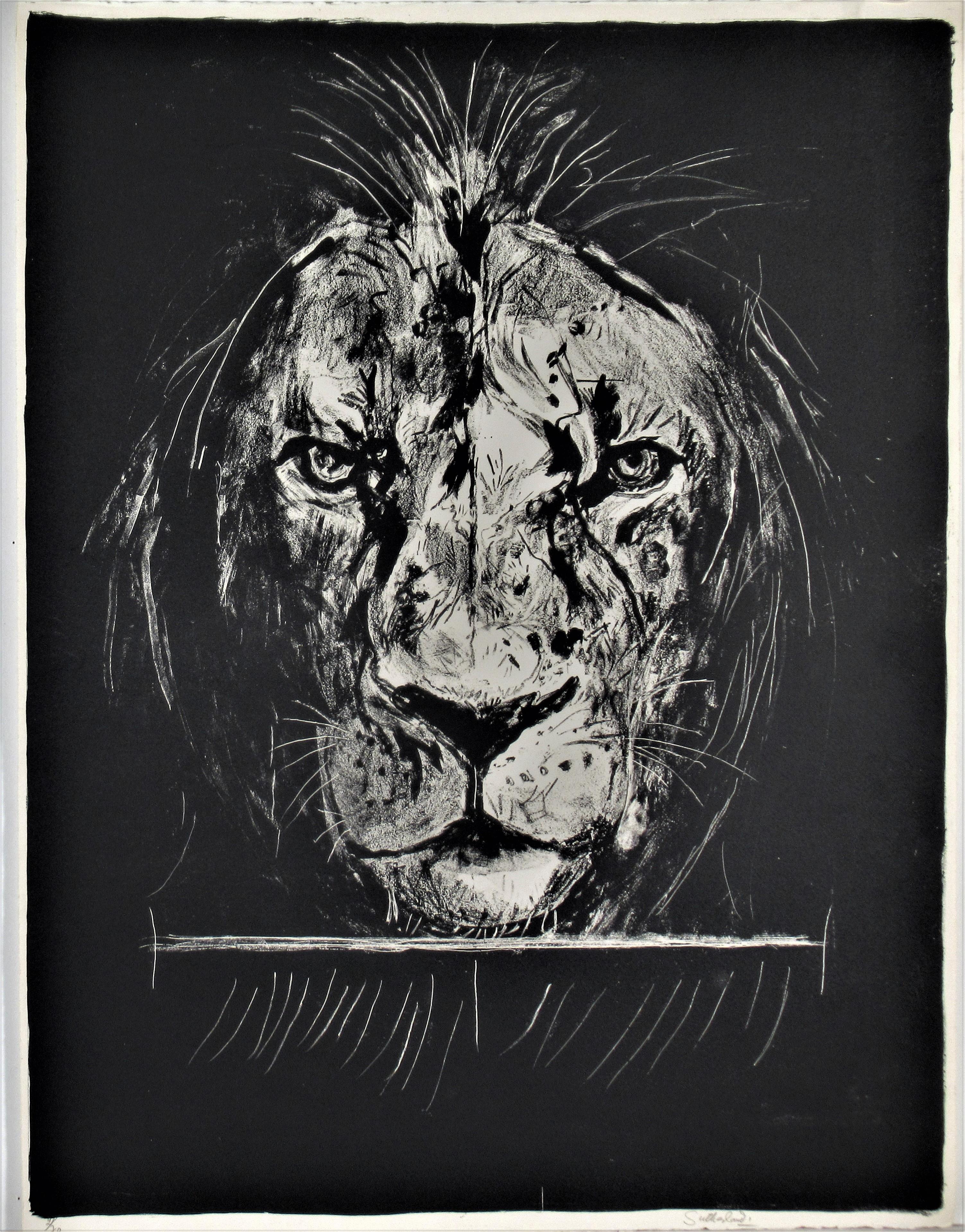 Graham Sutherland Animal Print - "Lion" from the suite "Bestiary and some Correspondences" 