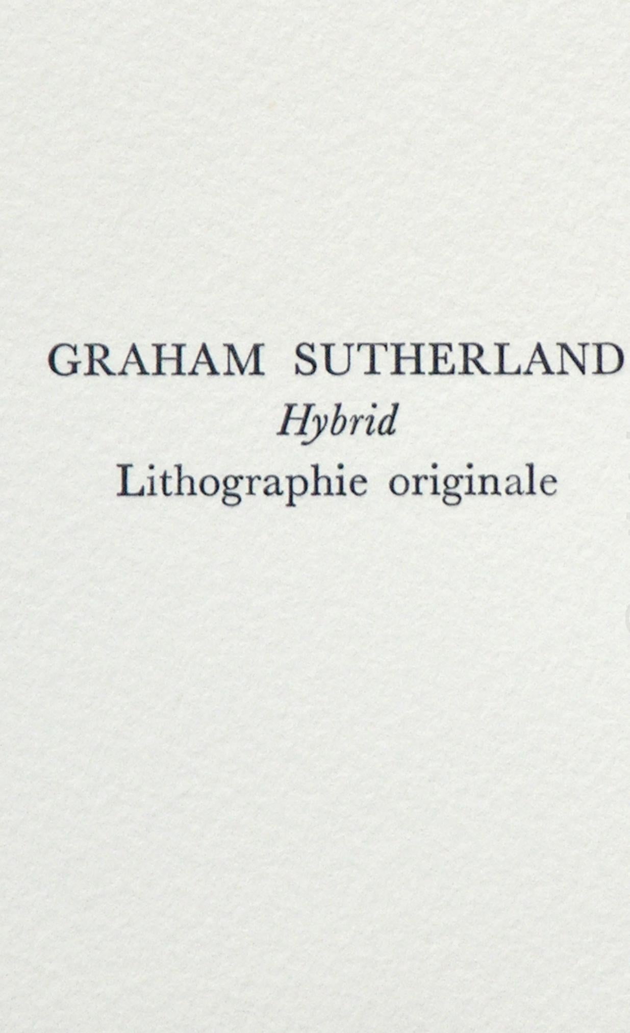 Sutherland, Hybrid, Souvenirs et portraits d'artistes (after) For Sale 3