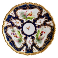 Assiette en porcelaine de Grainger Worcester:: écailles bleues:: oiseaux de Sèvres & Insectes:: 1899 '2'