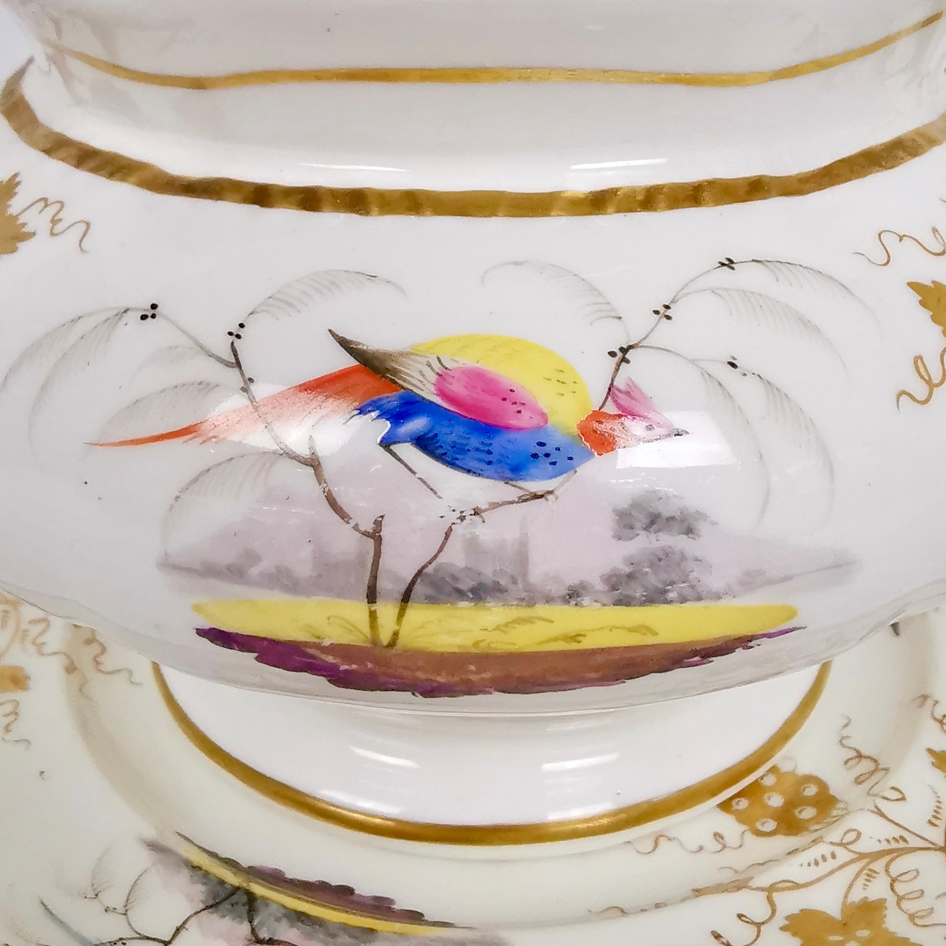 Hand-Painted Grainger Worcester Tea Set, Rococo Revival, Sevres-Style Birds, circa 1830 For Sale