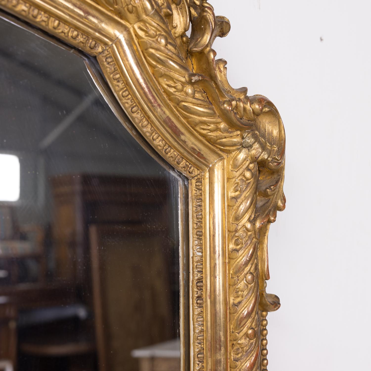 Grand 19th Century Heavily Carved French Louis XV Style Rococo Giltwood Mirror 3