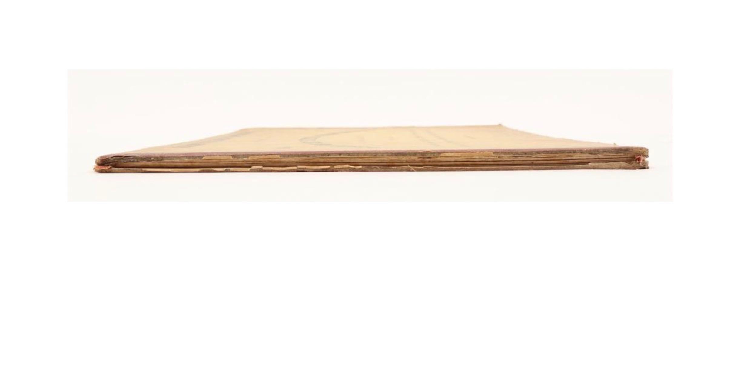 XIXe siècle Grand 7.6m (299 Inch) Delft Student Corps Parade - Rare 1878 Leporello en vente