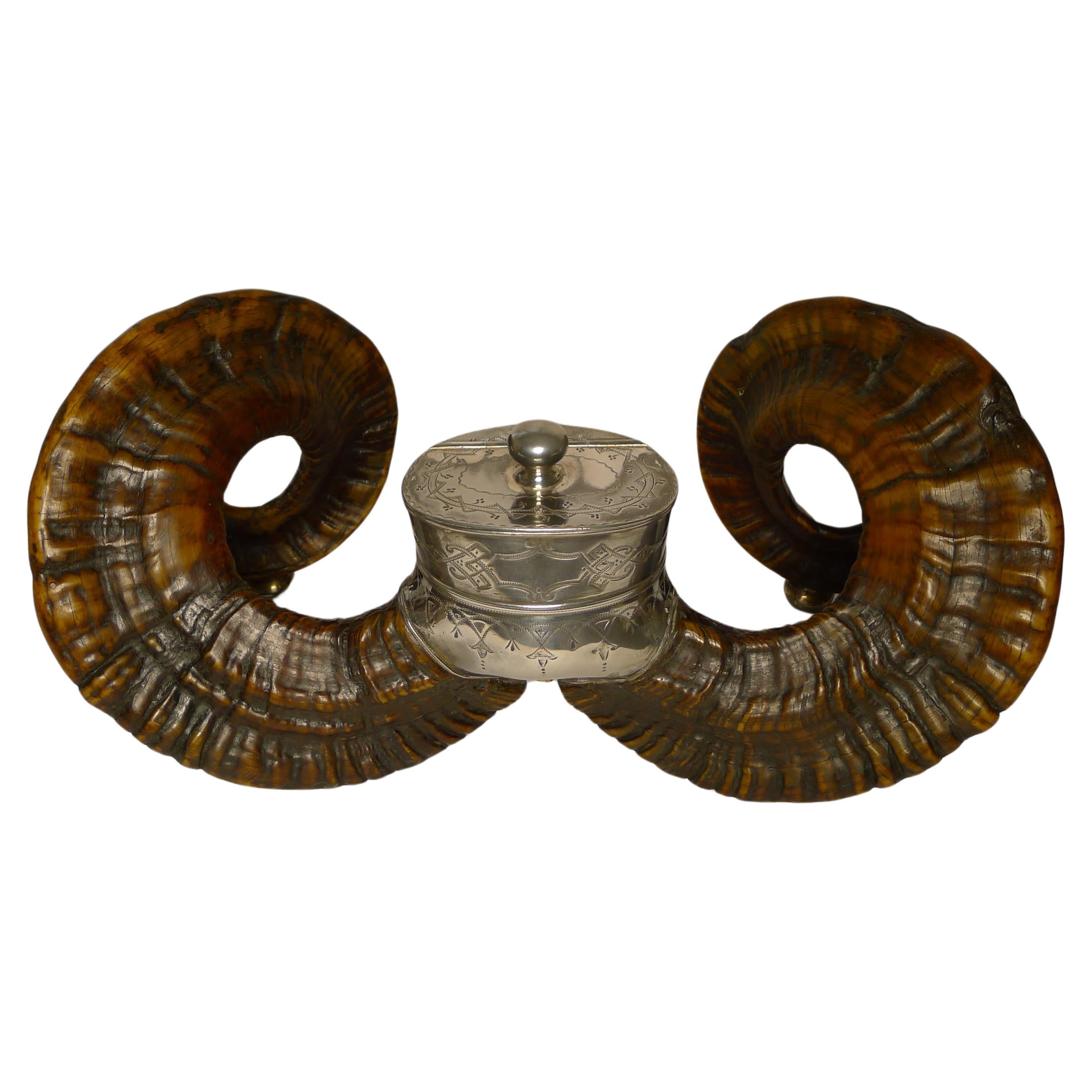 Grand Antique Scottish Ram's Horn Snuff Mull c.1880