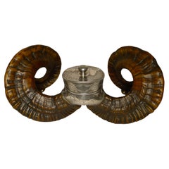 Grande tabatière écossaise en corne de bélier A.I.C. C.1880