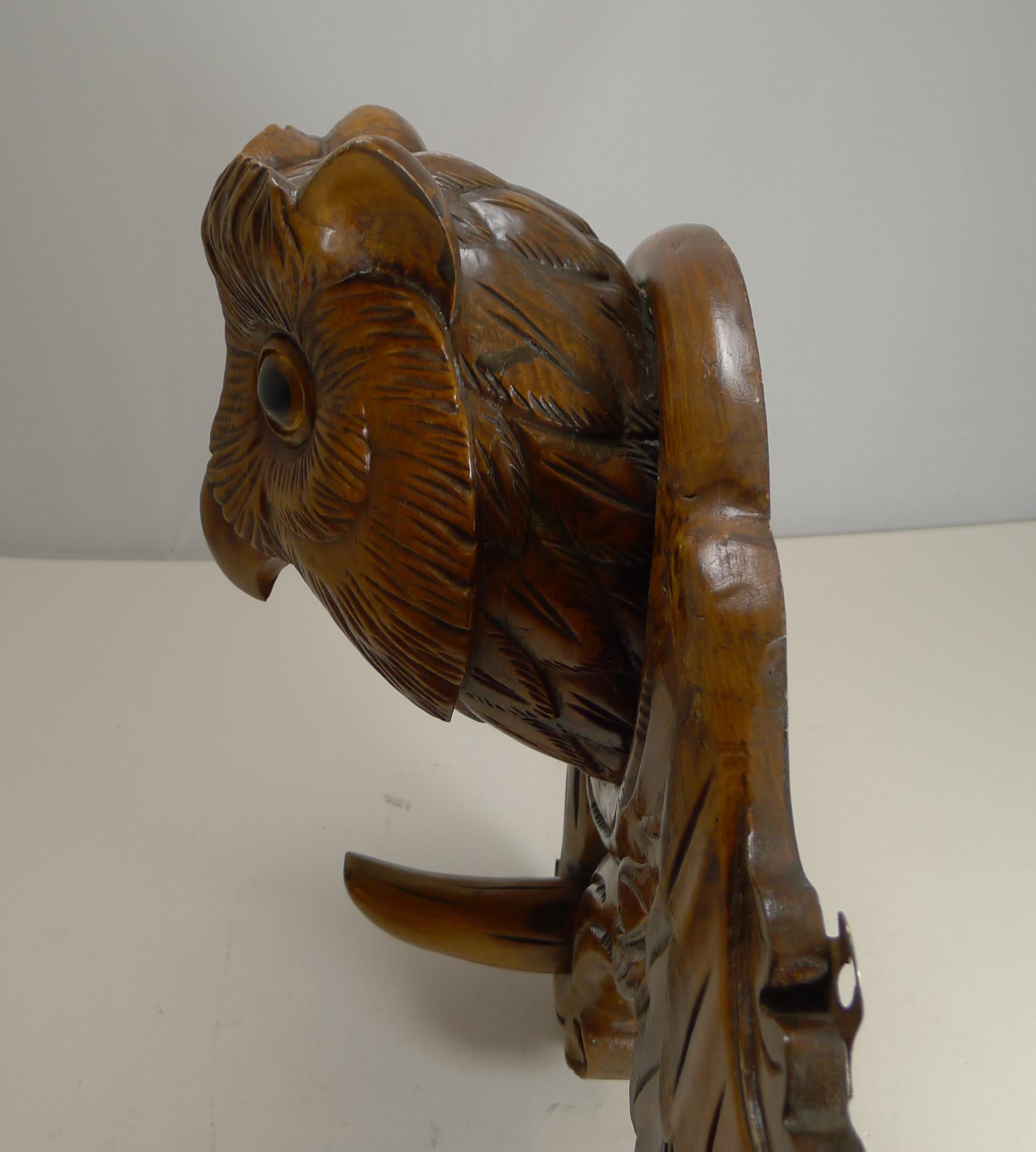 Grand Black Forest Hat Stand - Owl with Glass Eyes, circa 1890 In Good Condition In Bath, GB