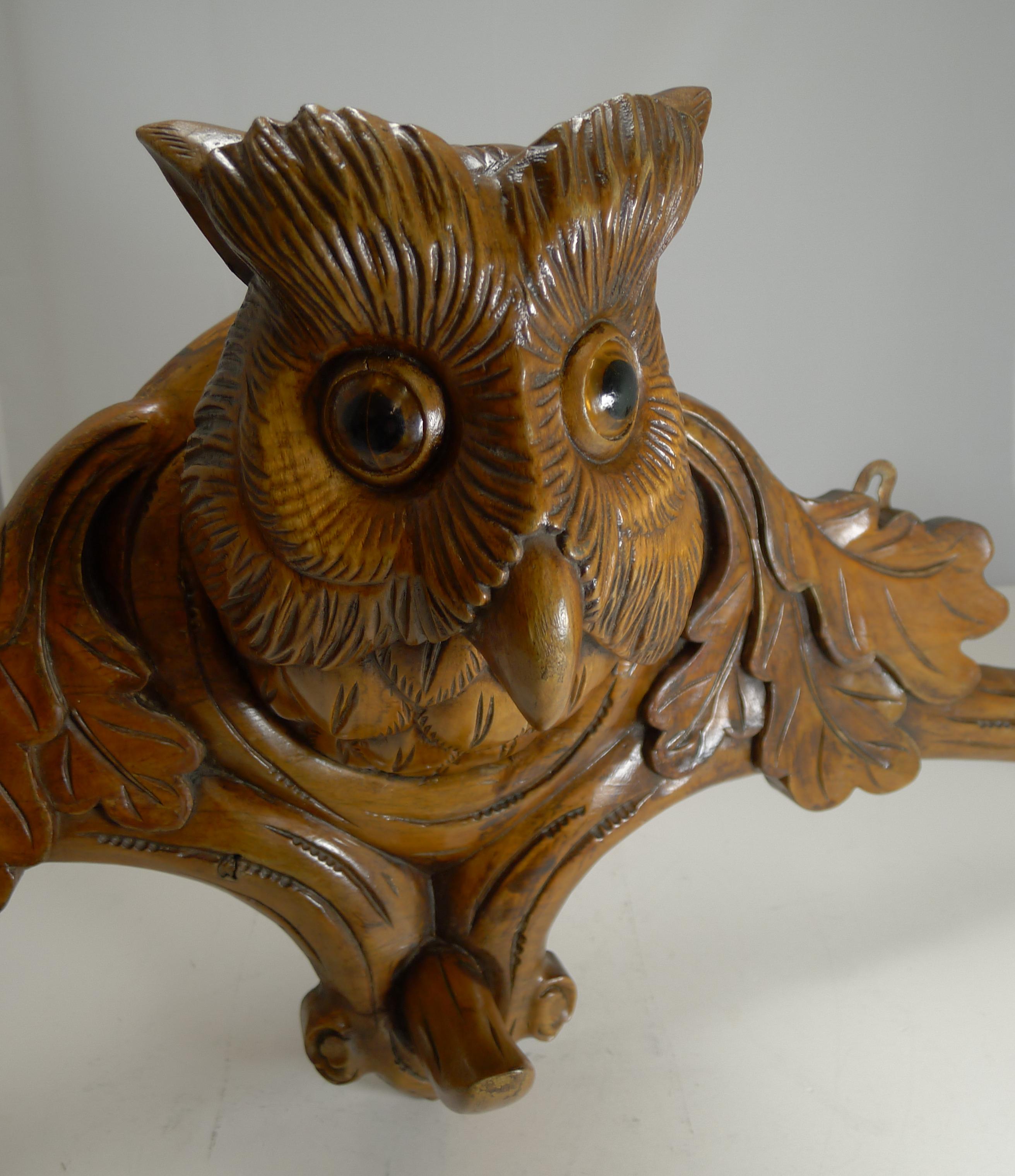 Grand Black Forest Hat Stand - Owl with Glass Eyes, circa 1890 1
