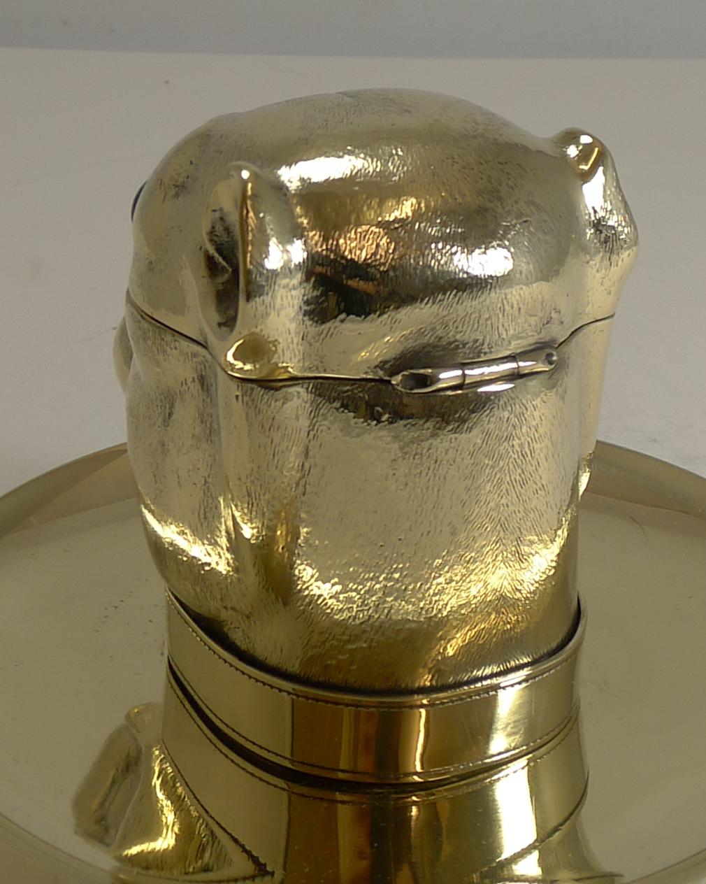 A magnificent English Victorian inkwell made from solid English brass having been professionally polished to gleam.

This grand figural dog inkwell was modelled in the form of an English Bulldog's head with a buckled collar and retaining his two