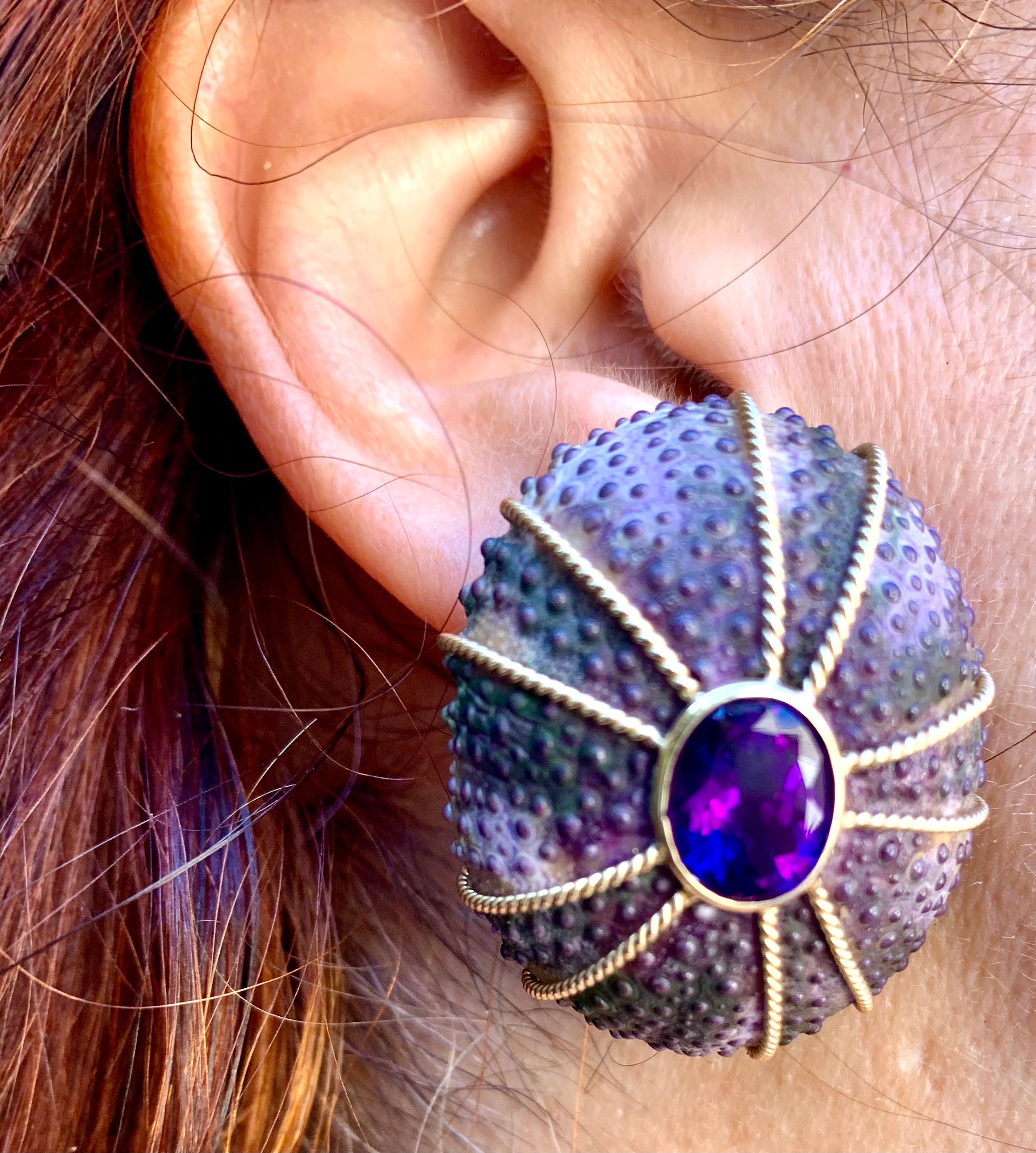 Exceptional and unique purple sea urchin, 14K gold and oval faceted cut amethyst earrings by Maz
20th Century
The sea urchin with lovely ombre color variation, deeper purple in the center to lighter lavender shades toward the edges, set with rope