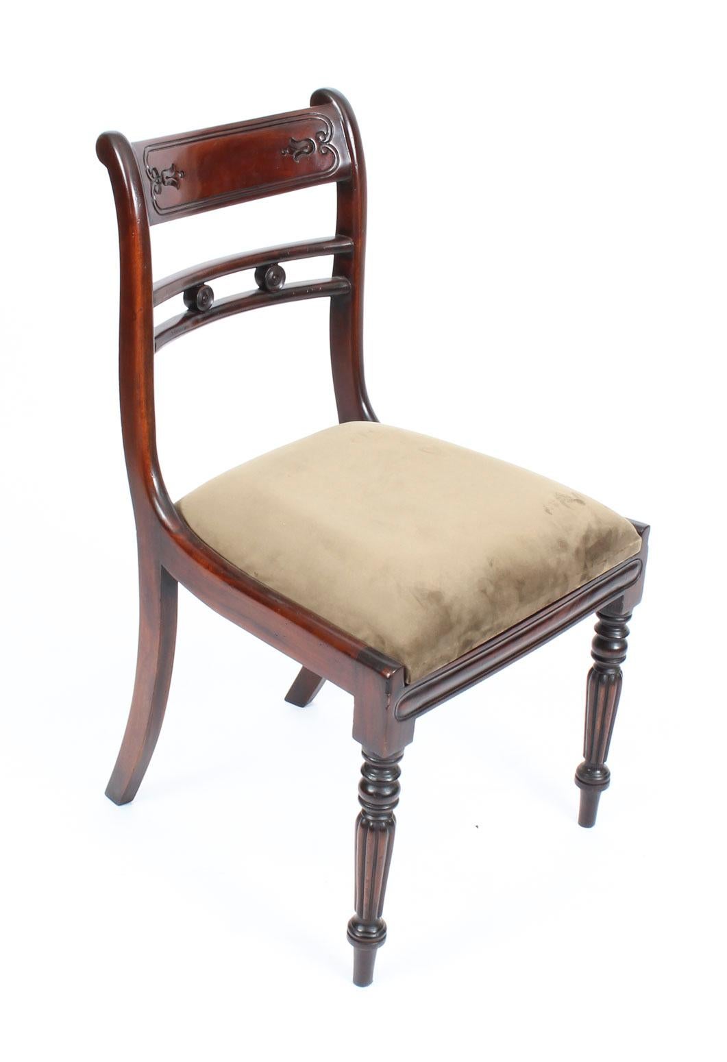 Pair Regency Style Tulip Back Side Chairs, 20th Century 2