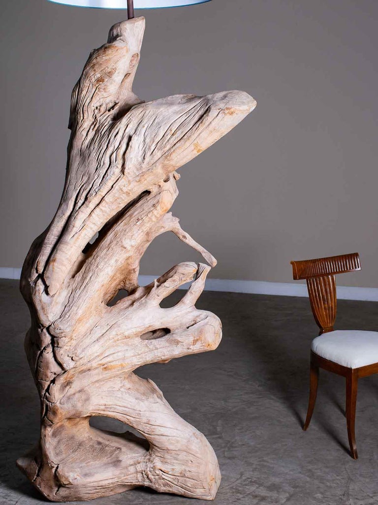Image result for Grand Scale Organic Modern Beach Driftwood Floor Lamp Custom Shade For ...