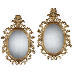 Grand Scale Pair of 19th Century Oval Florentine Carved Giltwood Mirrors 