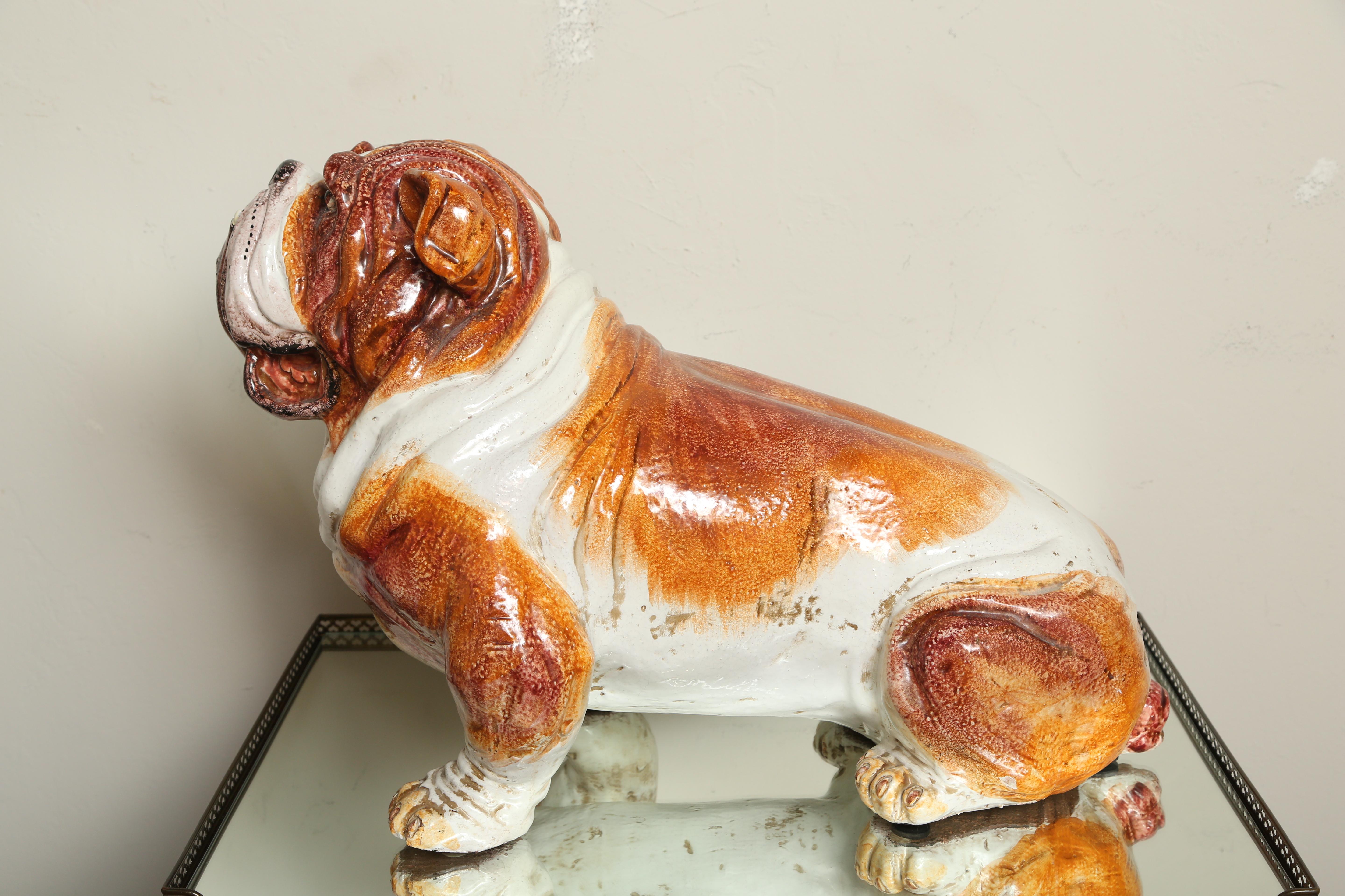 Italian Grand Terracotta Bull Dog