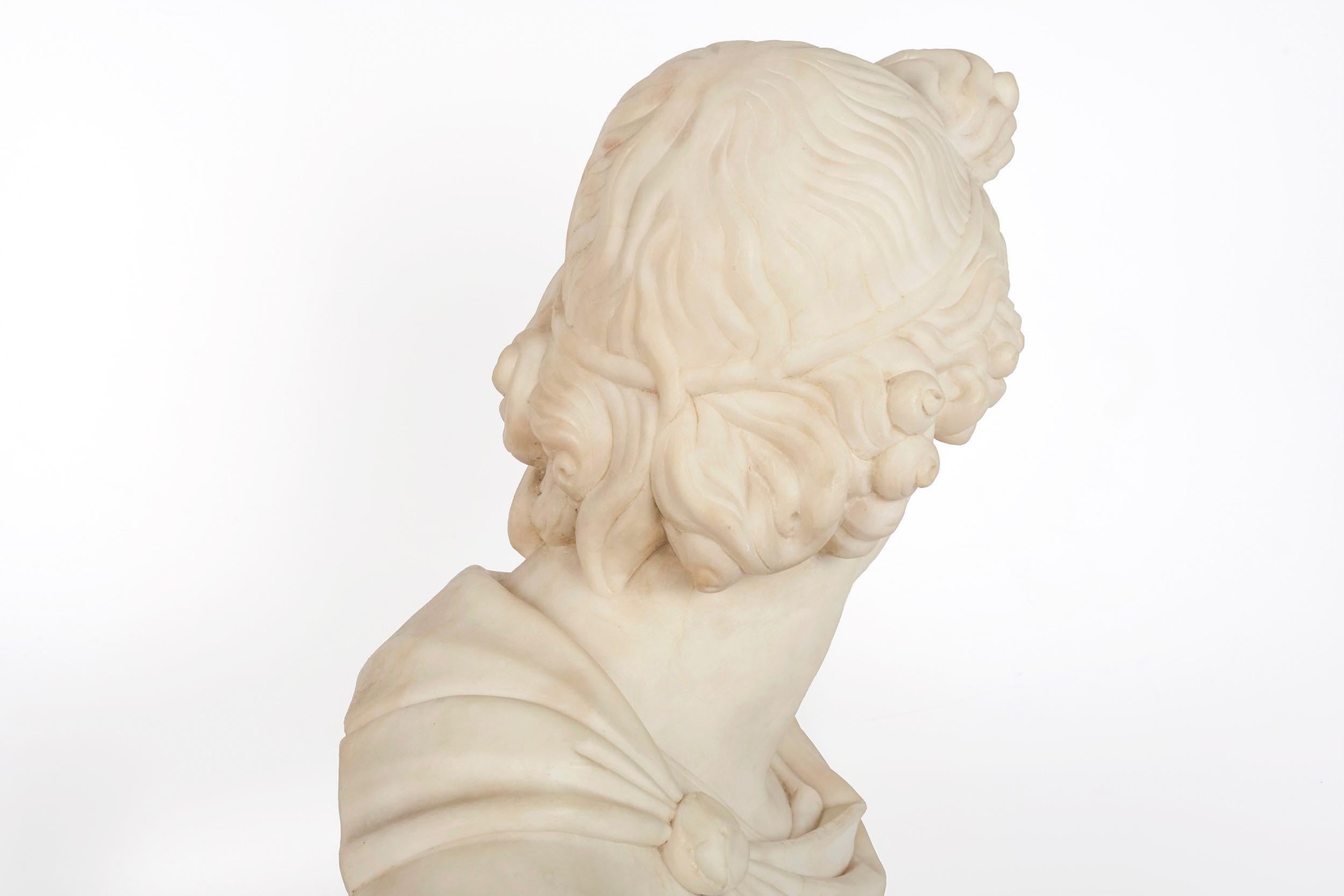 Grand Tour Alabaster Sculpture Bust of Apollo Belvedere, 19th Century 13