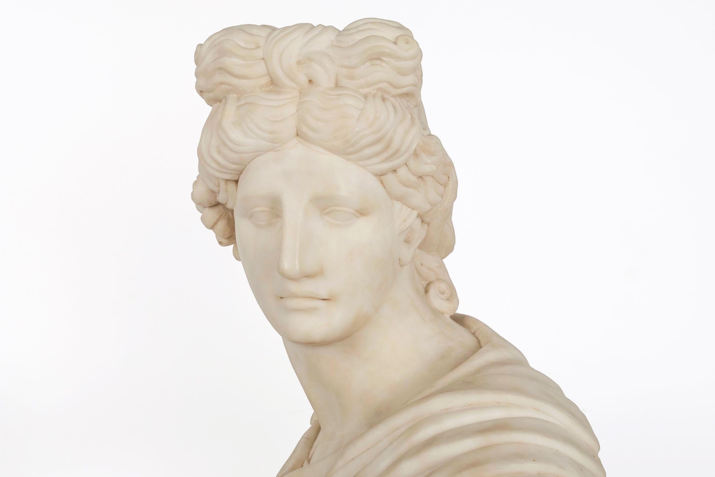 Grand Tour Alabaster Sculpture Bust of Apollo Belvedere, 19th Century 15