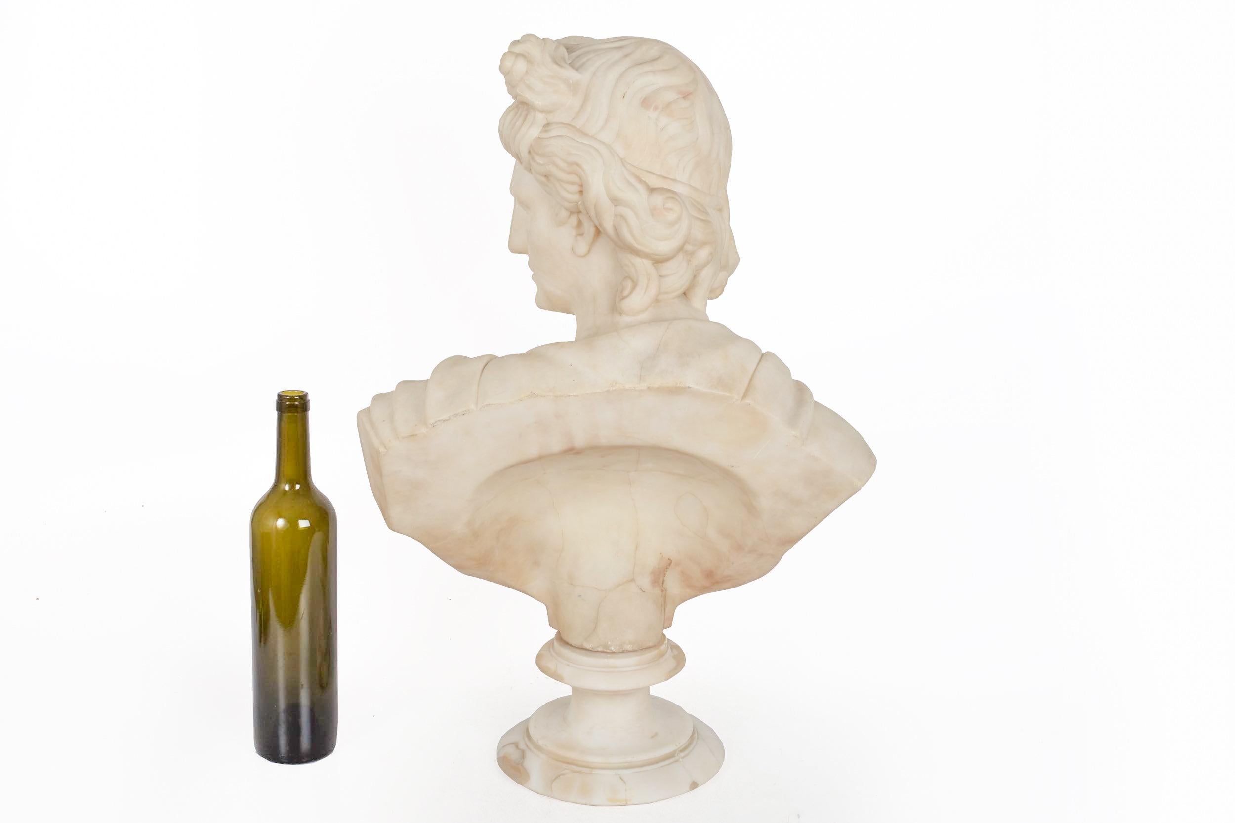 Grand Tour Alabaster Sculpture Bust of Apollo Belvedere, 19th Century 1