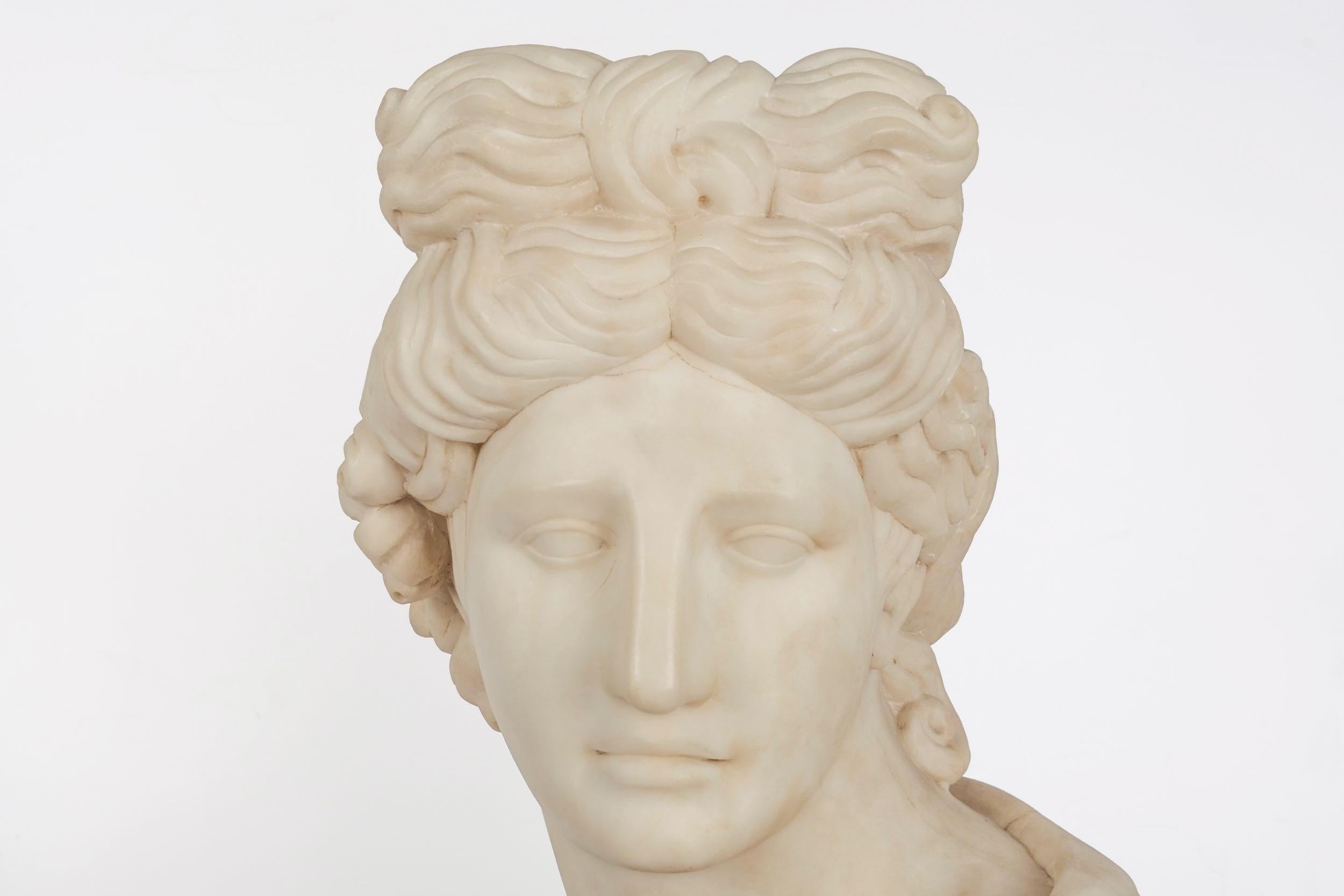 Grand Tour Alabaster Sculpture Bust of Apollo Belvedere, 19th Century 2