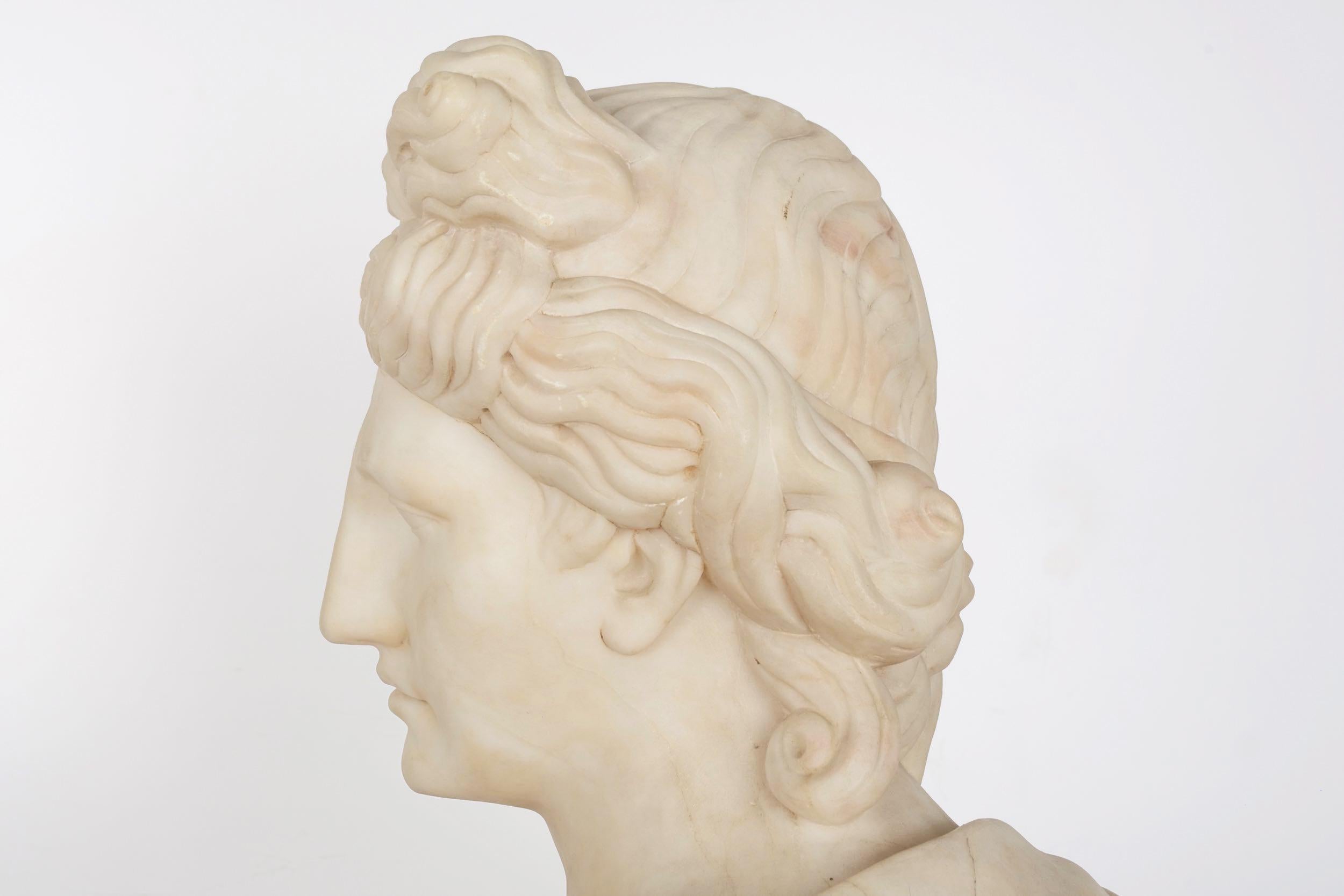 Grand Tour Alabaster Sculpture Bust of Apollo Belvedere, 19th Century 3