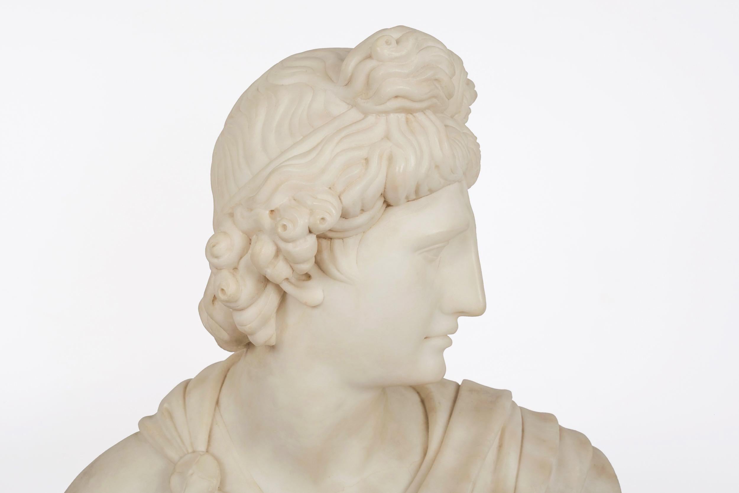 Grand Tour Alabaster Sculpture Bust of Apollo Belvedere, 19th Century 4